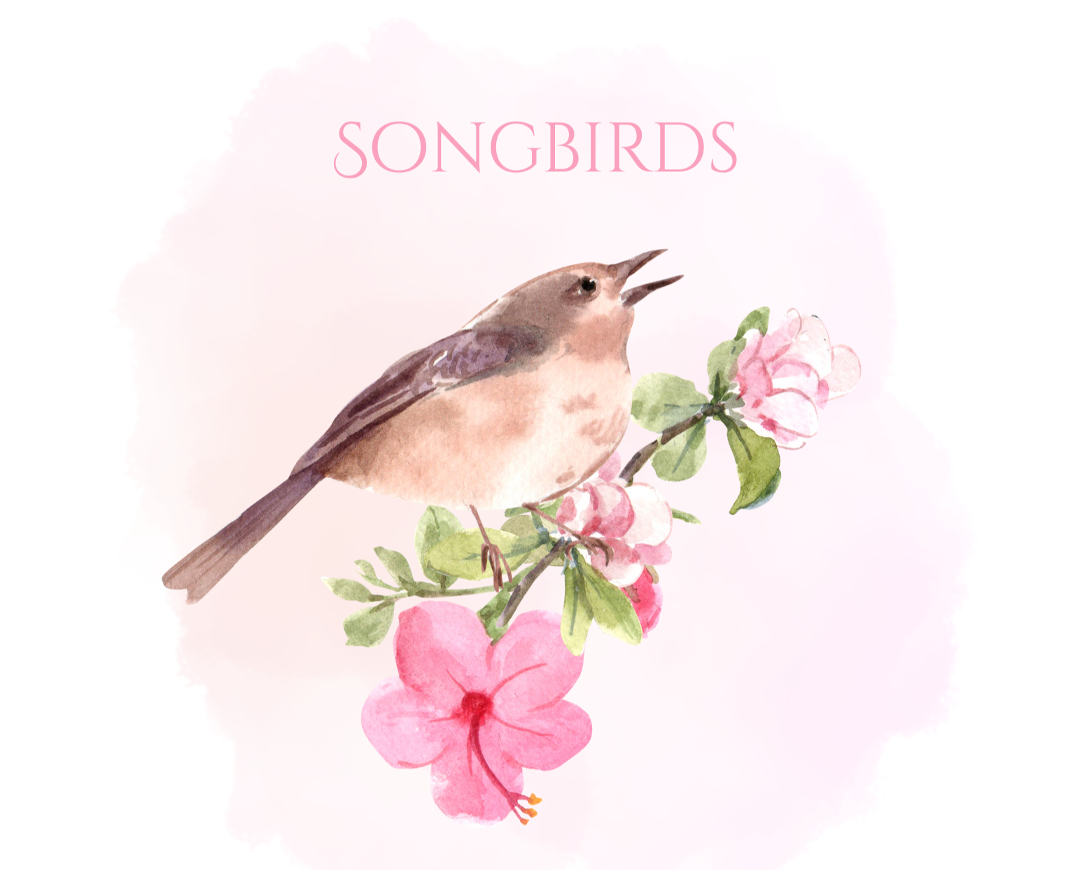 Songbirds+picture+.png