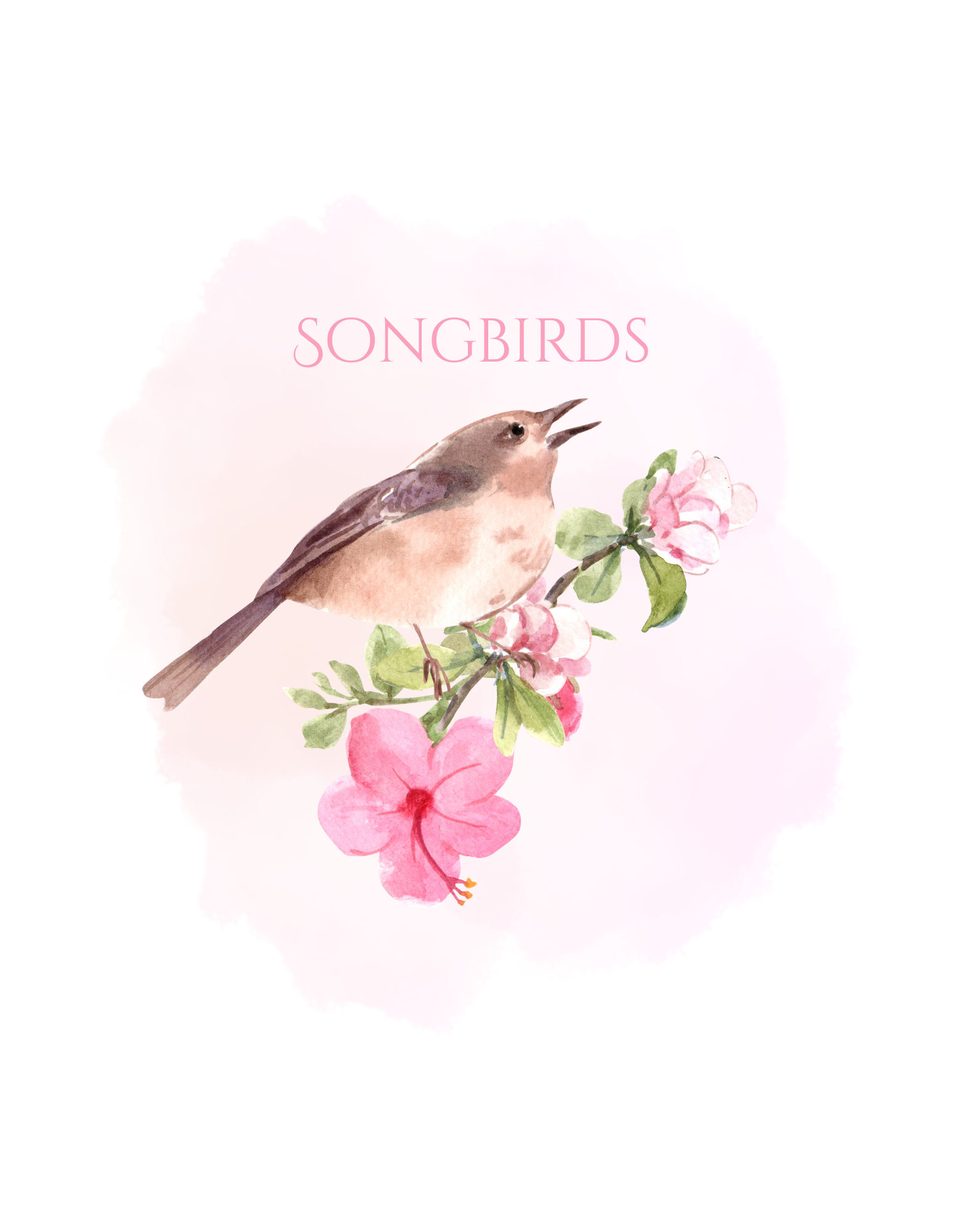 Songbirds 2.png