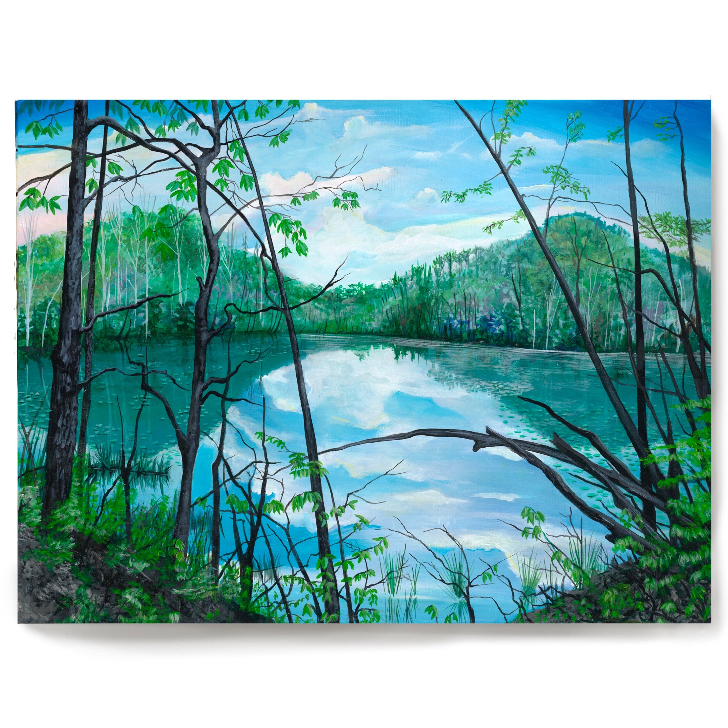 732D42A1-E876-4896-B4C8-E6E49F16873E