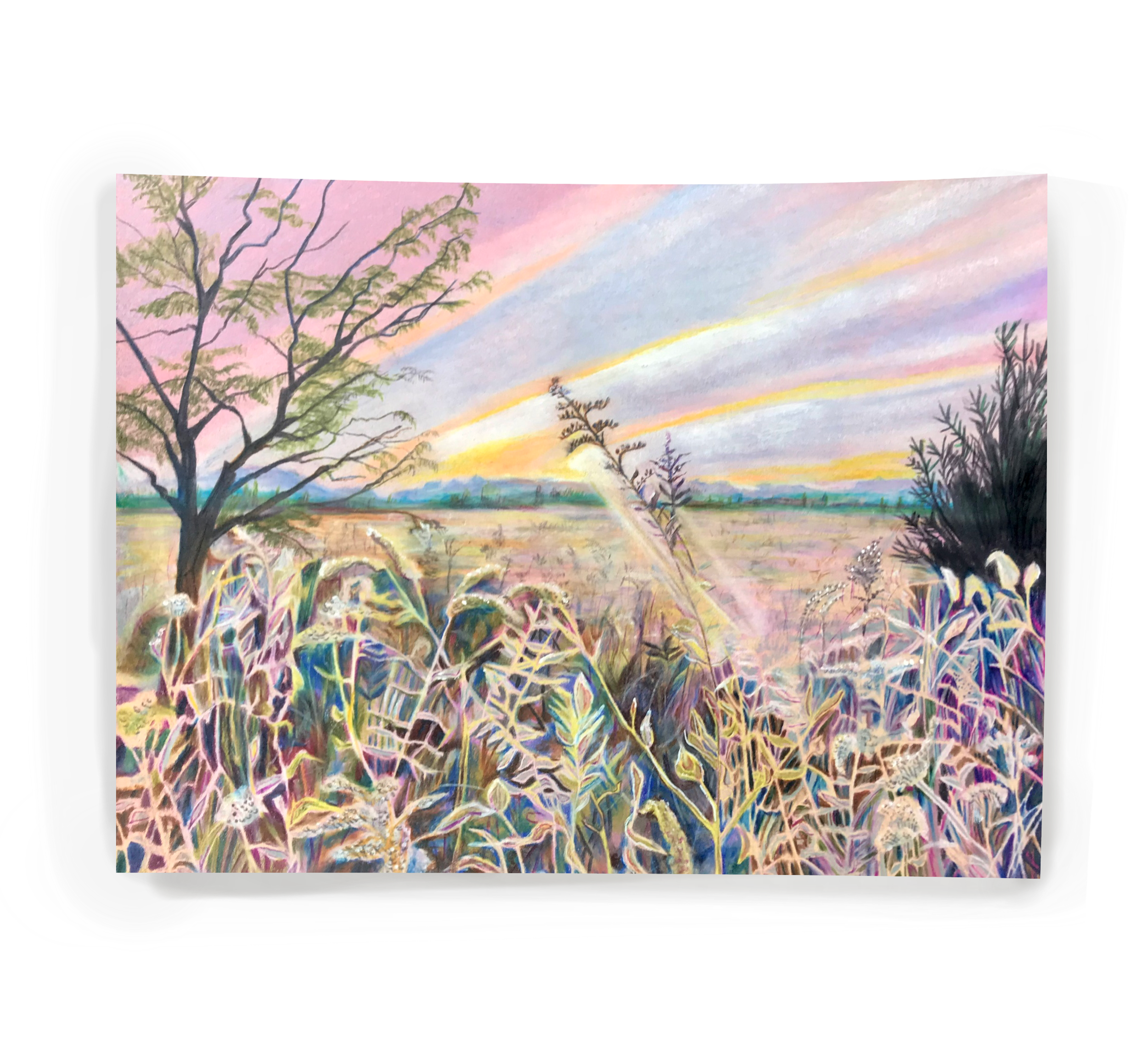 2EC6B304-56CF-440D-B5D3-D25F0085191F