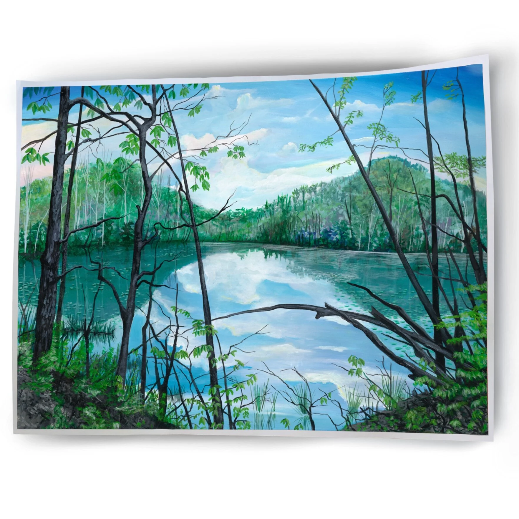 7E2205C8-05EC-4915-879E-8CA21521D5CE