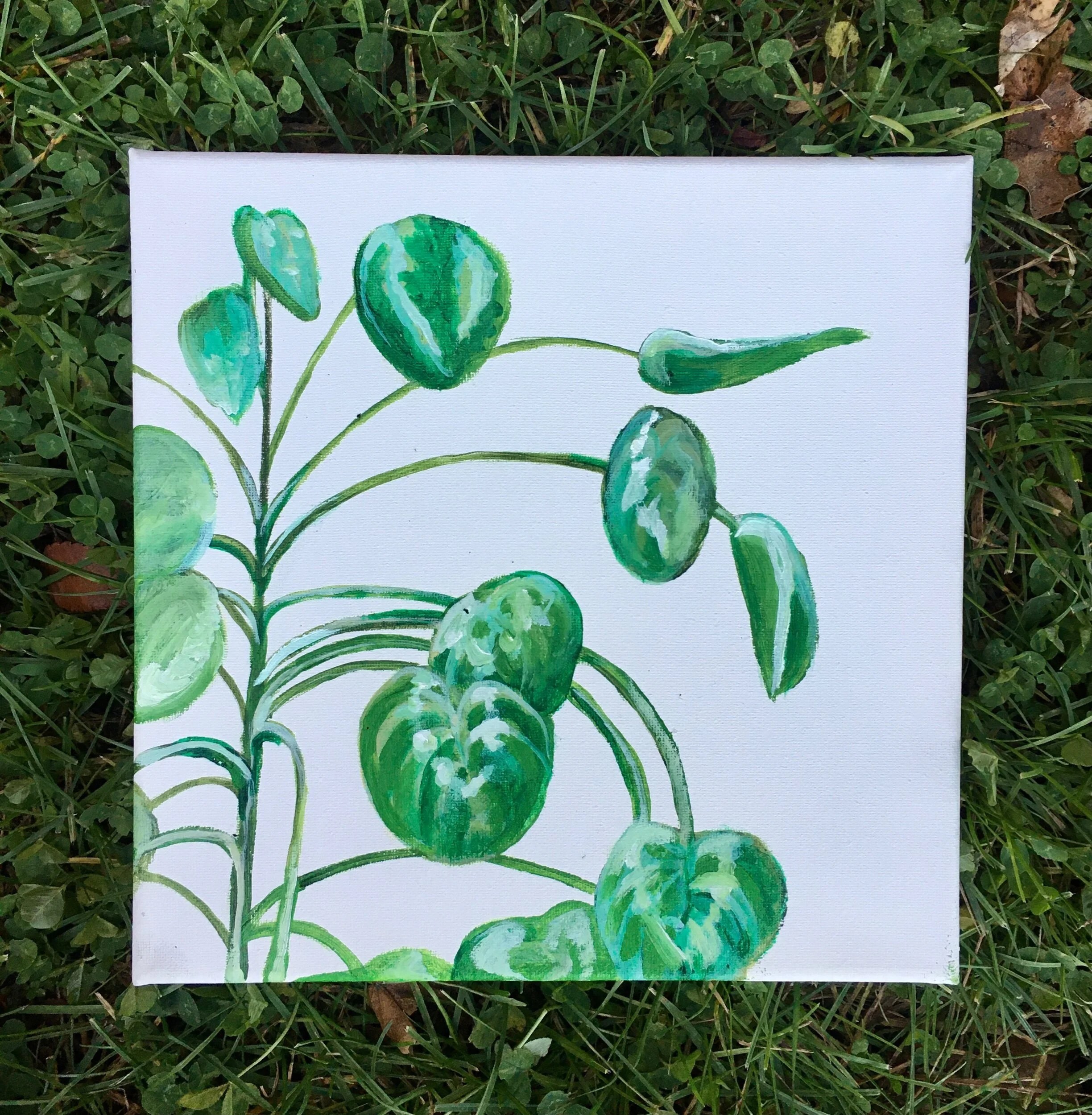 C8C5DD05-A717-4289-8274-8B02D68166C5