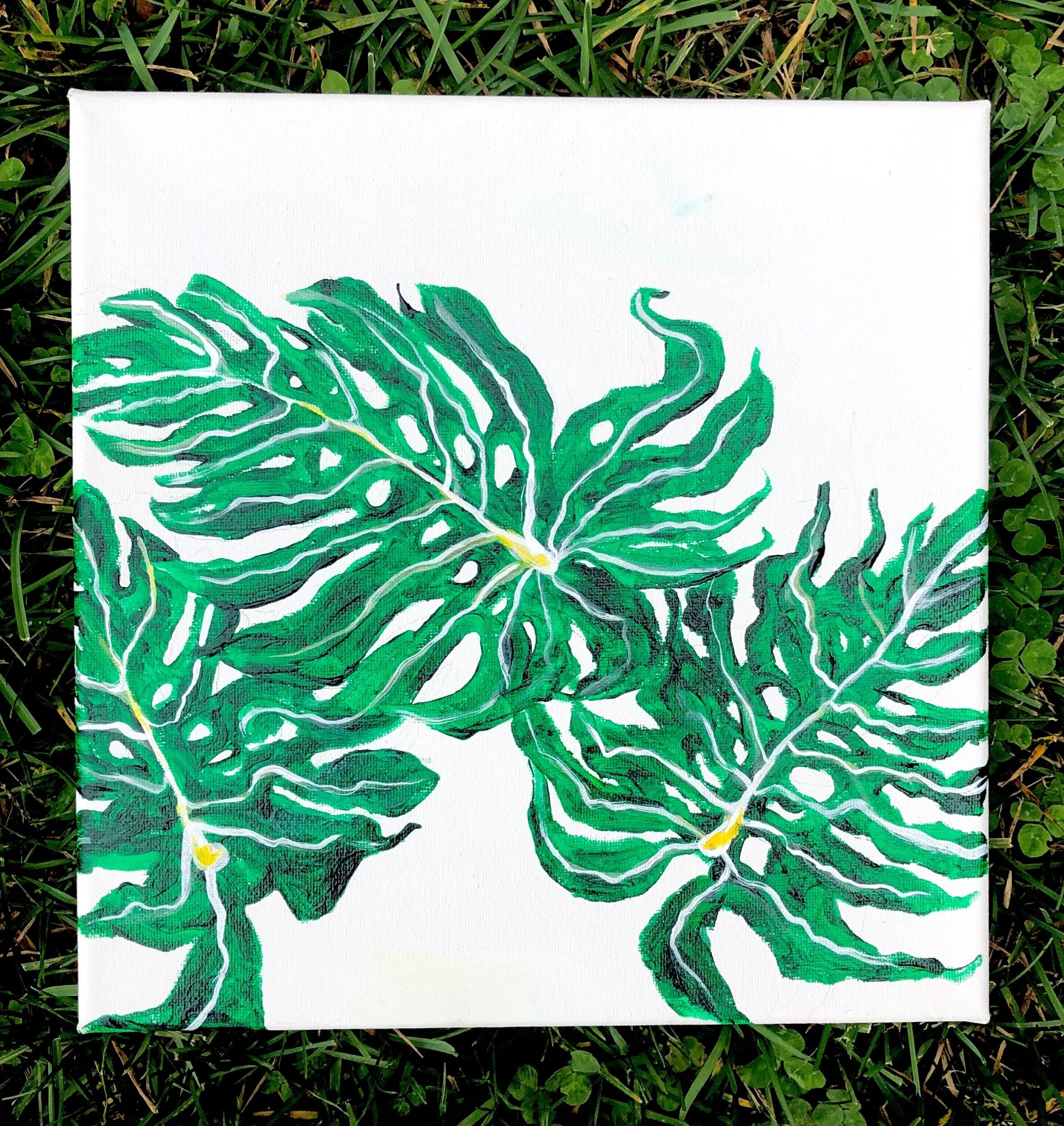 9EF58186-CB4E-4B51-AAF6-12467E52780D