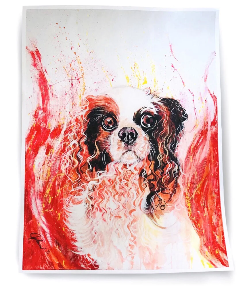 F5032434-CBCA-400D-BEEE-FA7067B49222