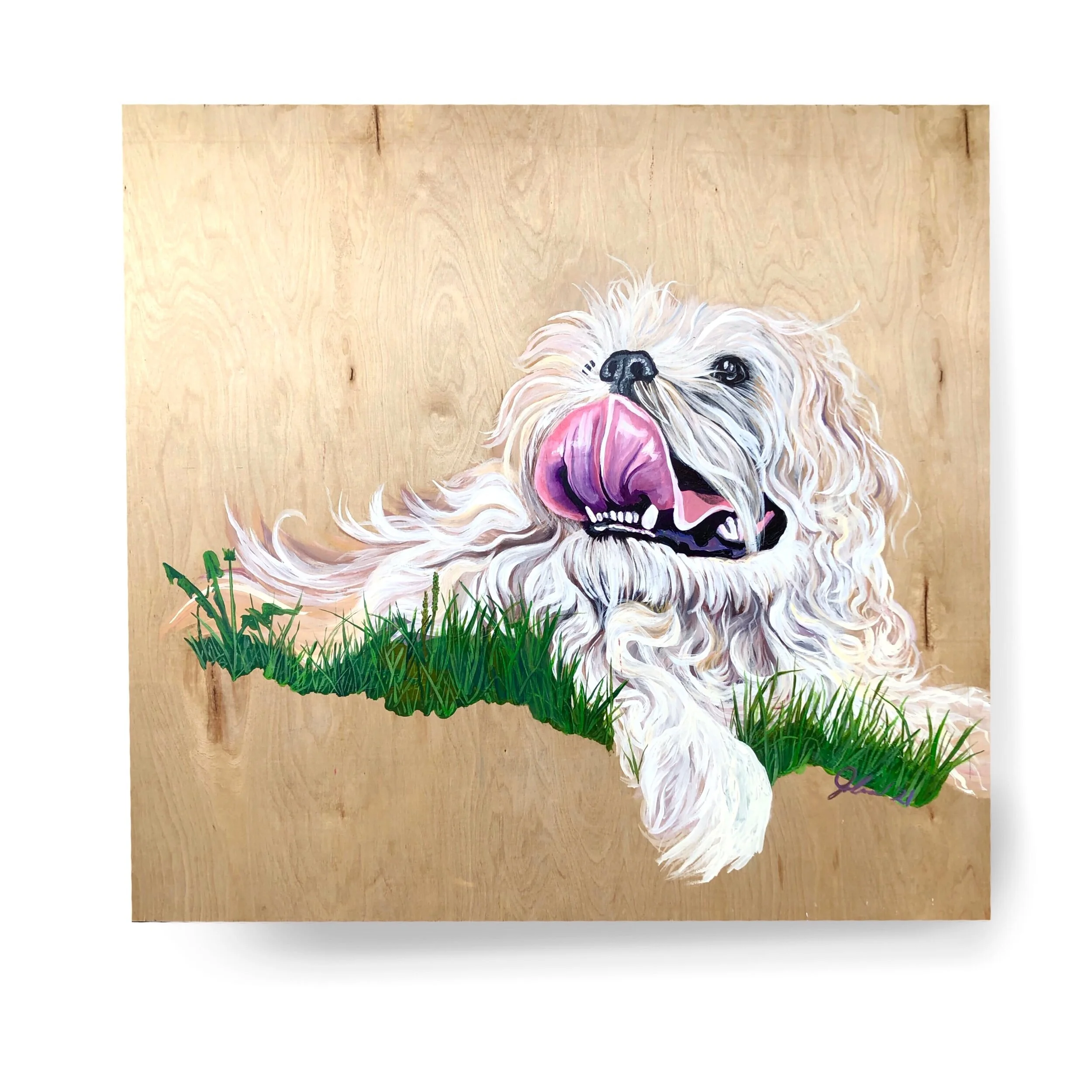 D37CC18B-AA1F-49E0-8A26-720D629E418F