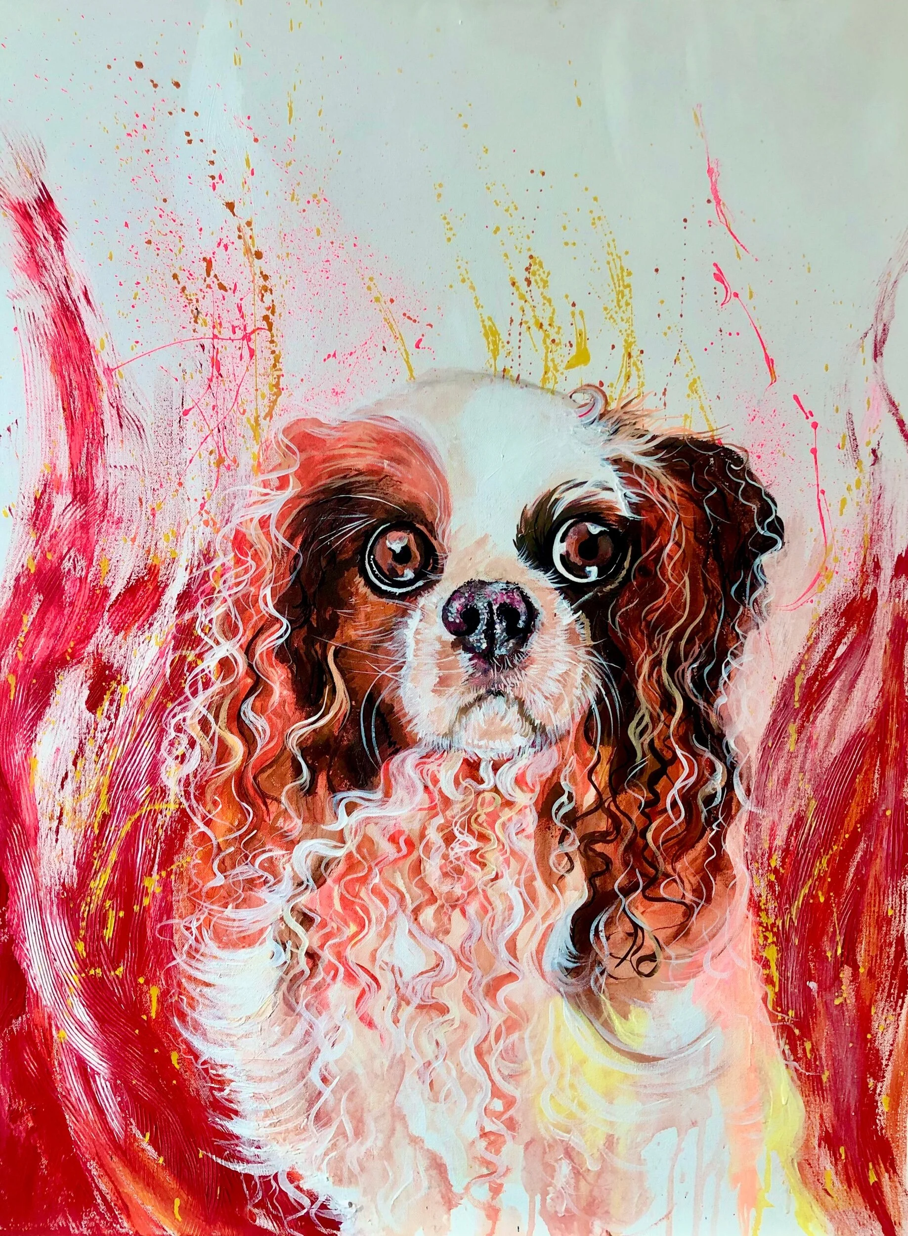 F47011F5-0E3C-4149-8E1C-6A6F0B3F2CEC