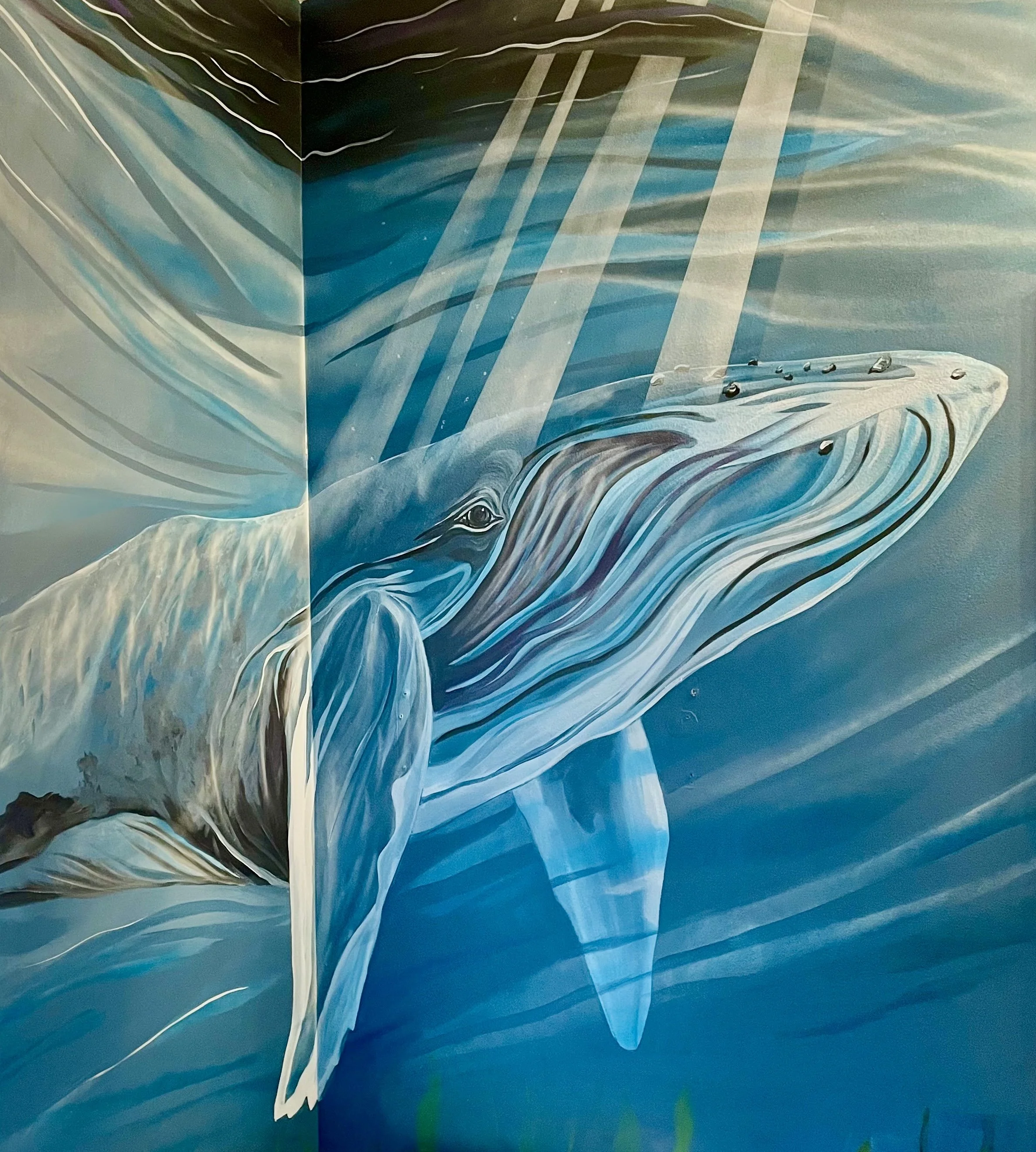 Whale mural interior bathroom light rays ocean theme humpback whale
