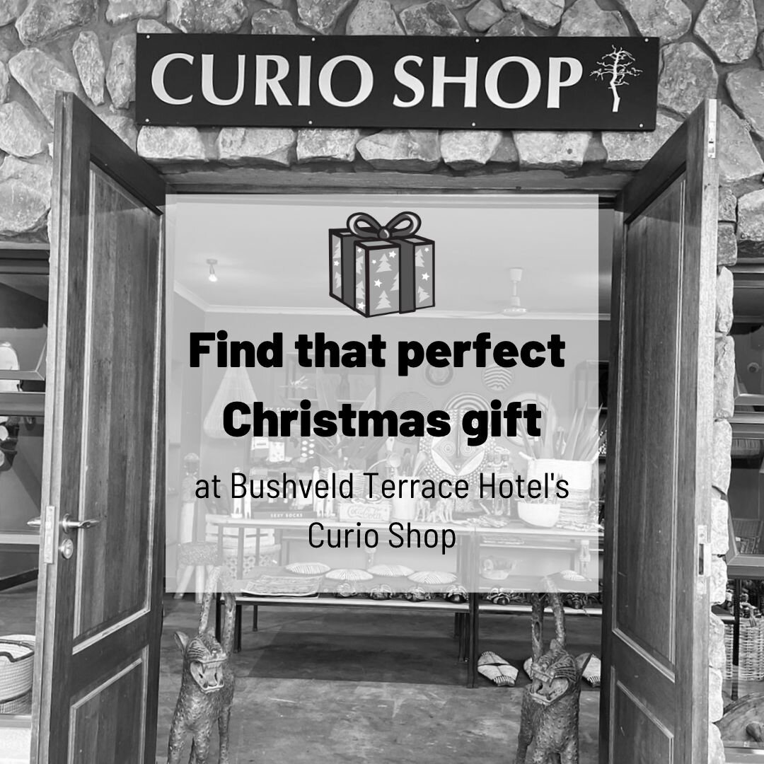 In the Phalaborwa area anytime between now and Christmas? Do yourself a favour and stop in at @bushveld_terrace_hotel and visit their Curio Shop which is filled with an array of magnificent locally crafted African gems 🤩 You might find a special Chr