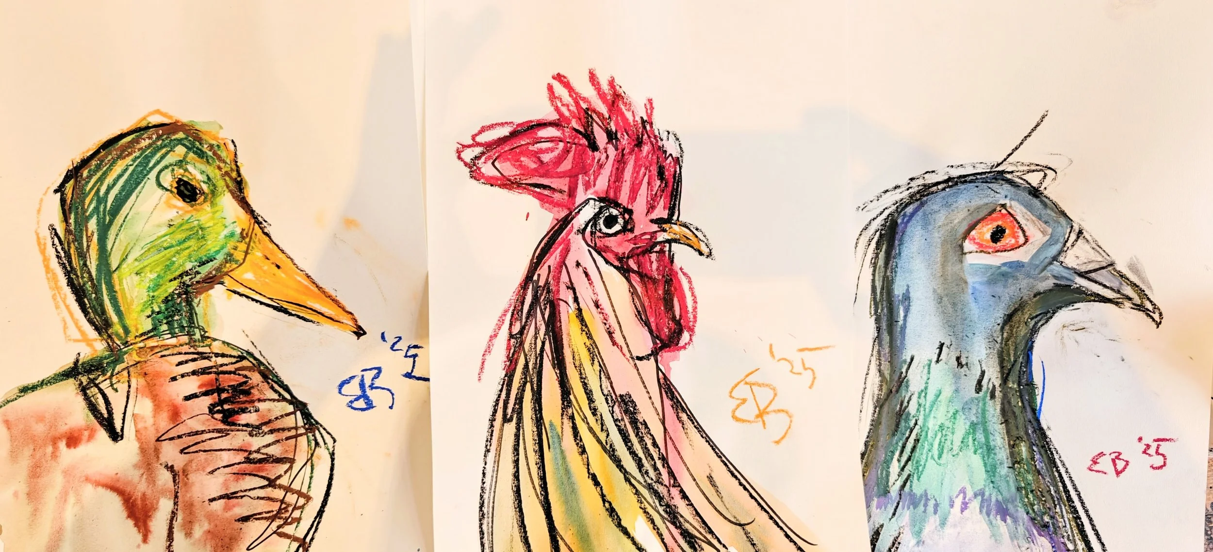 Colorful sketches of three different bird portraits, featuring a duck on the left, a rooster in the middle, and a peacock on the right, each with distinct colors and styles.