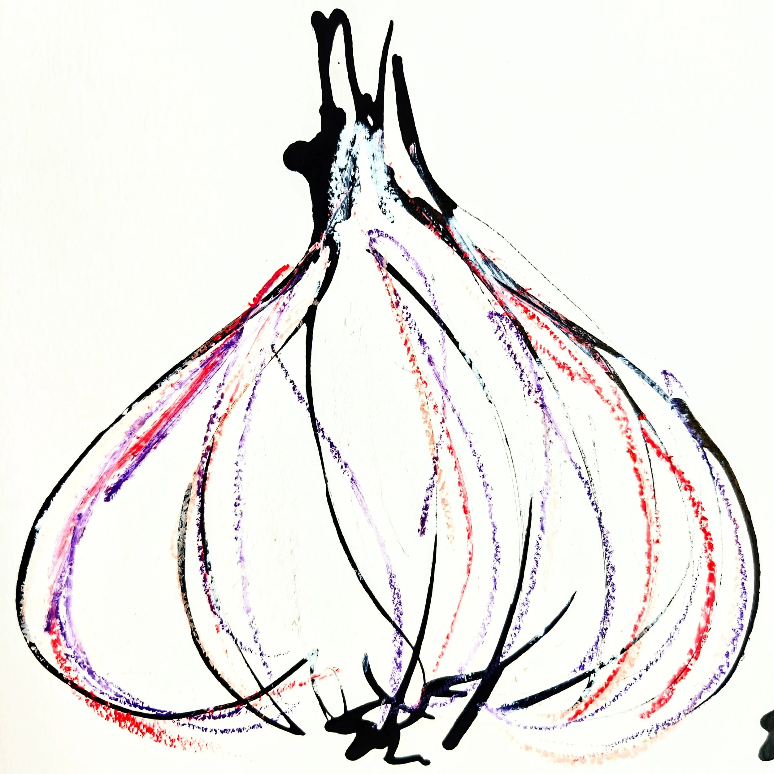 Abstract botanical illustration with black outlines and colorful accents, resembling a flower or onion bulb.