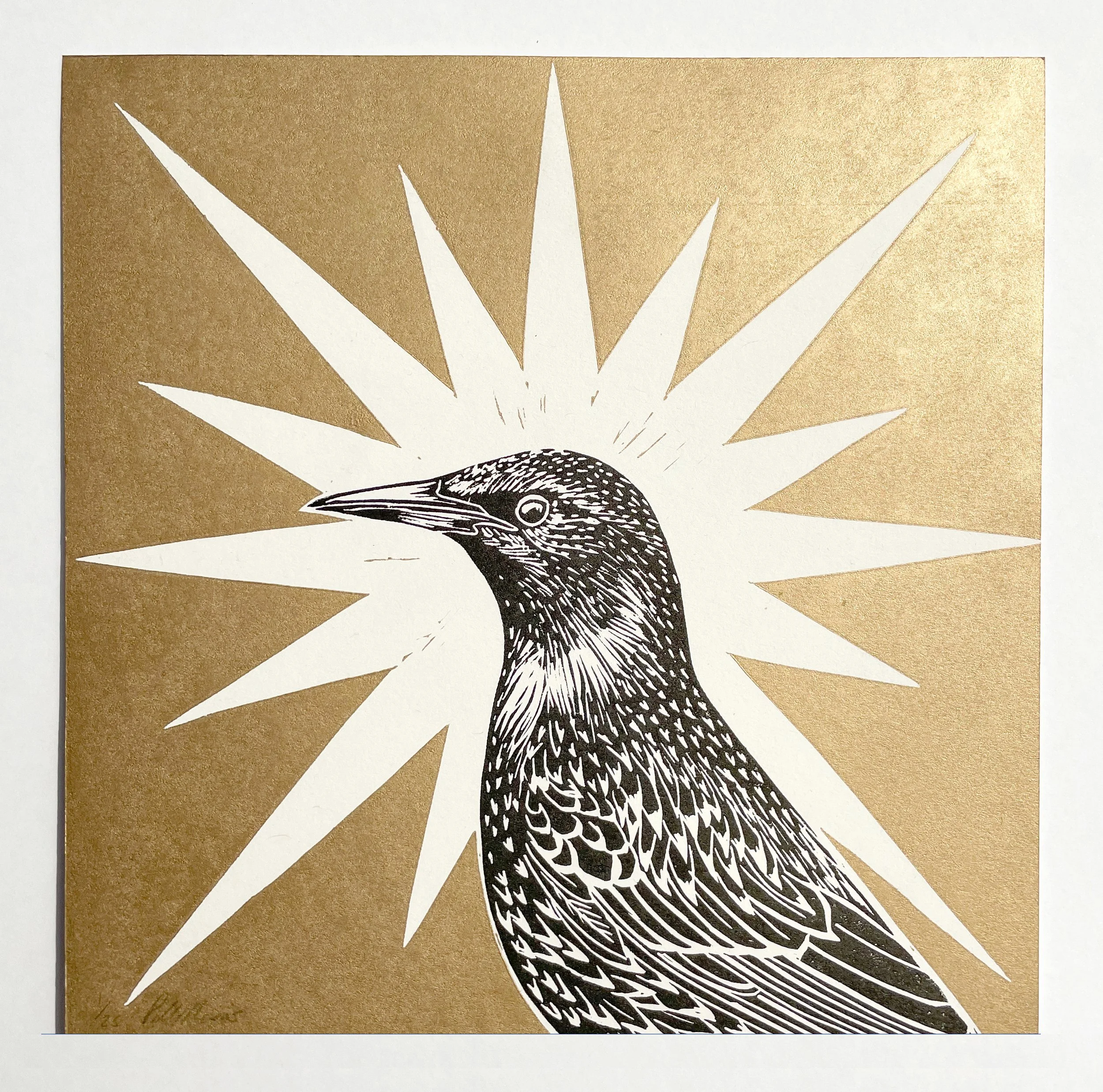 starling, gold b:g (front)  copy.jpg