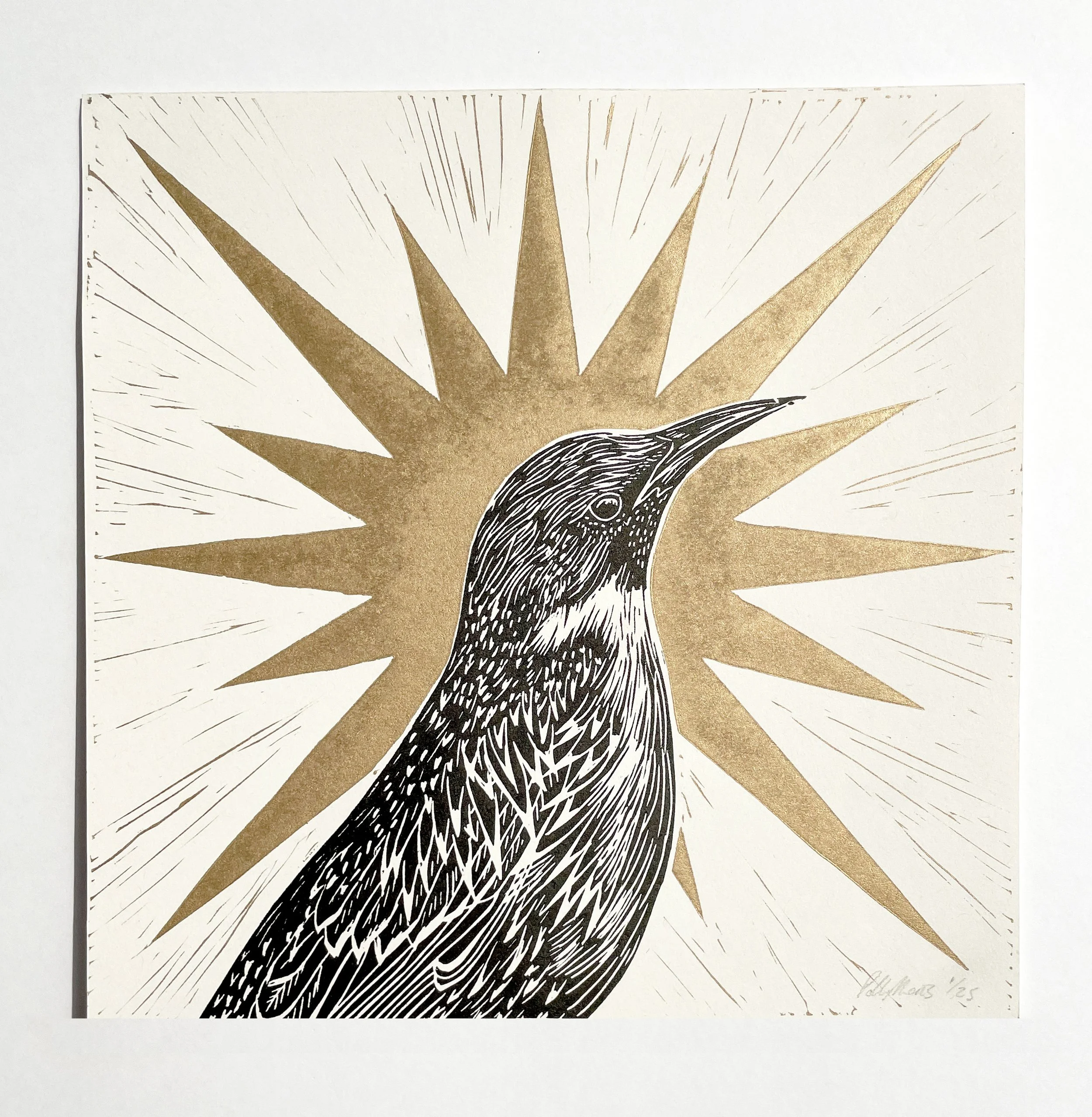 starling gold star (front, sun) copy.jpg