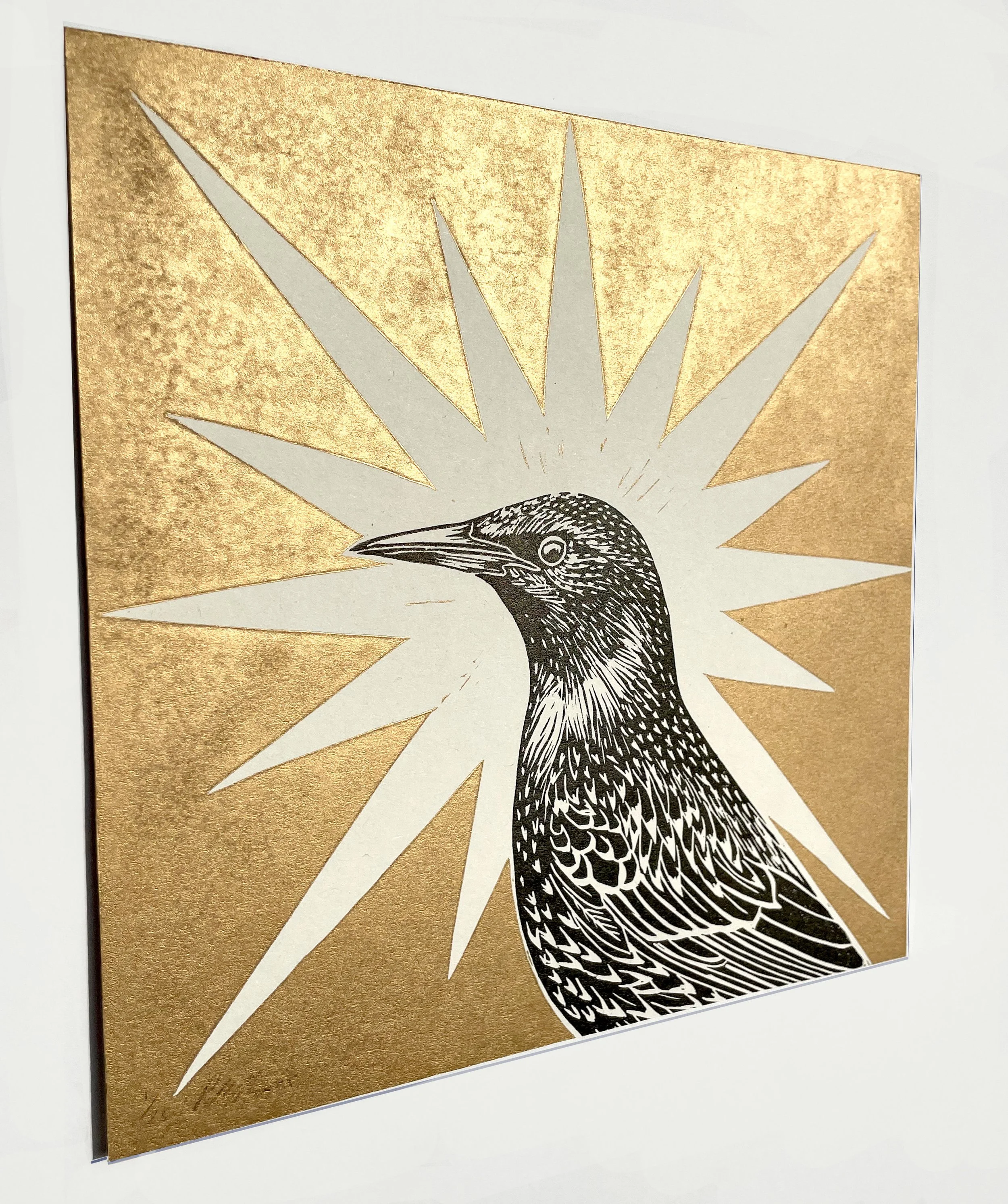 starling gold b:b (side) copy.jpg
