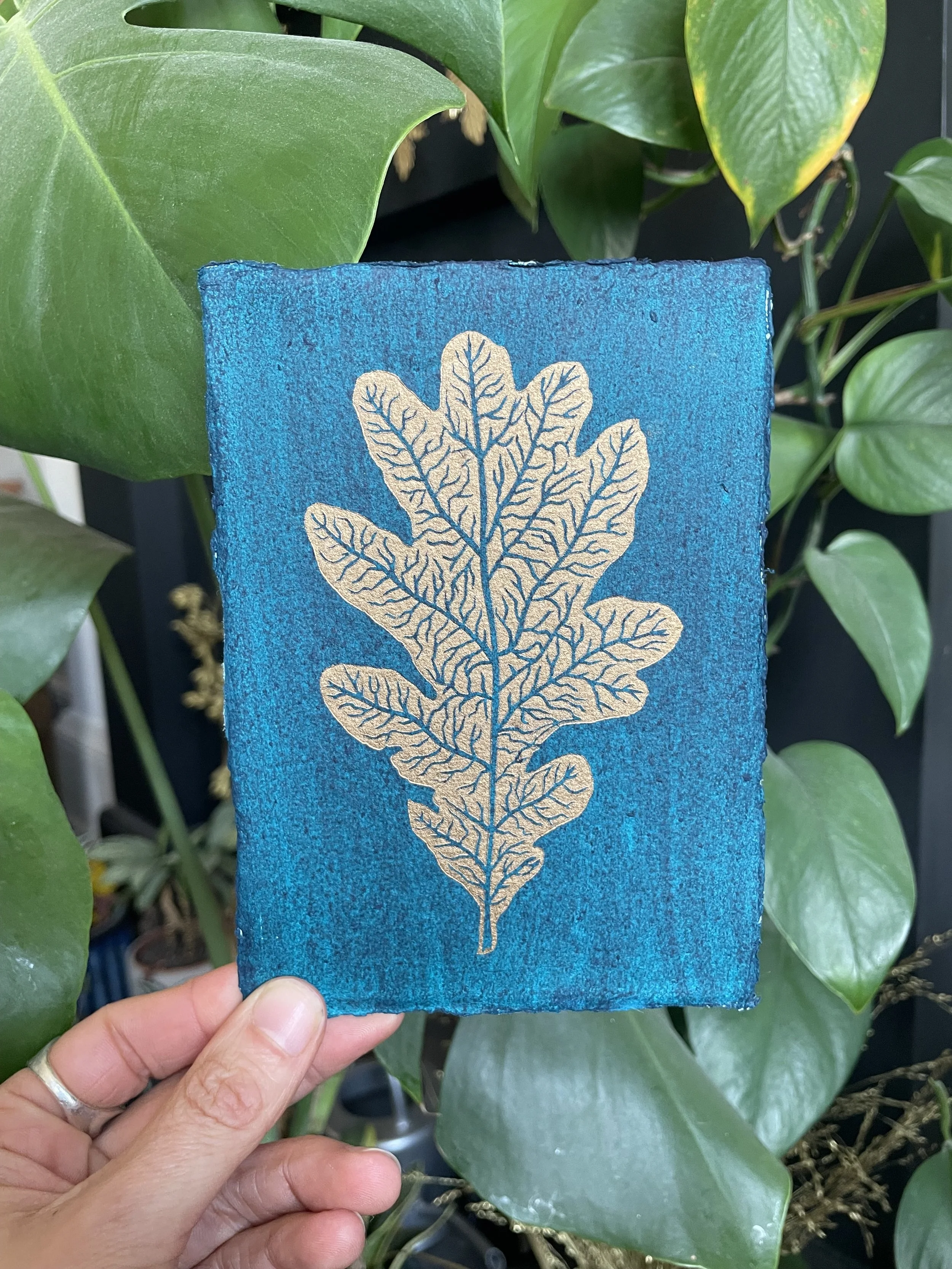 Oak Leaf
