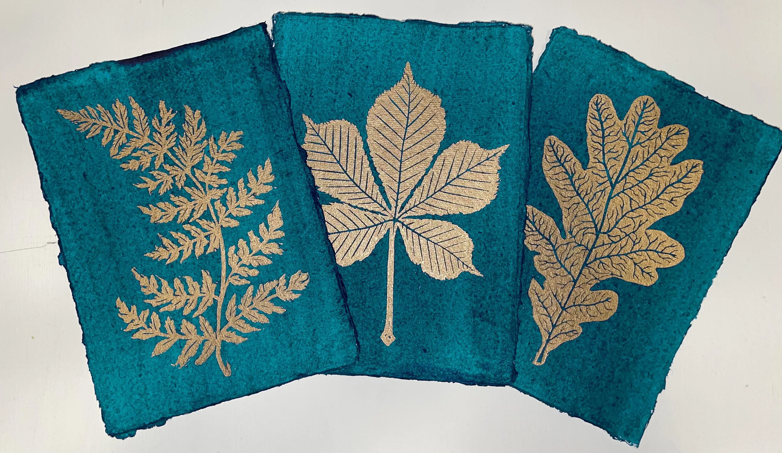 fern, horsechesnut, oak  copy.jpg