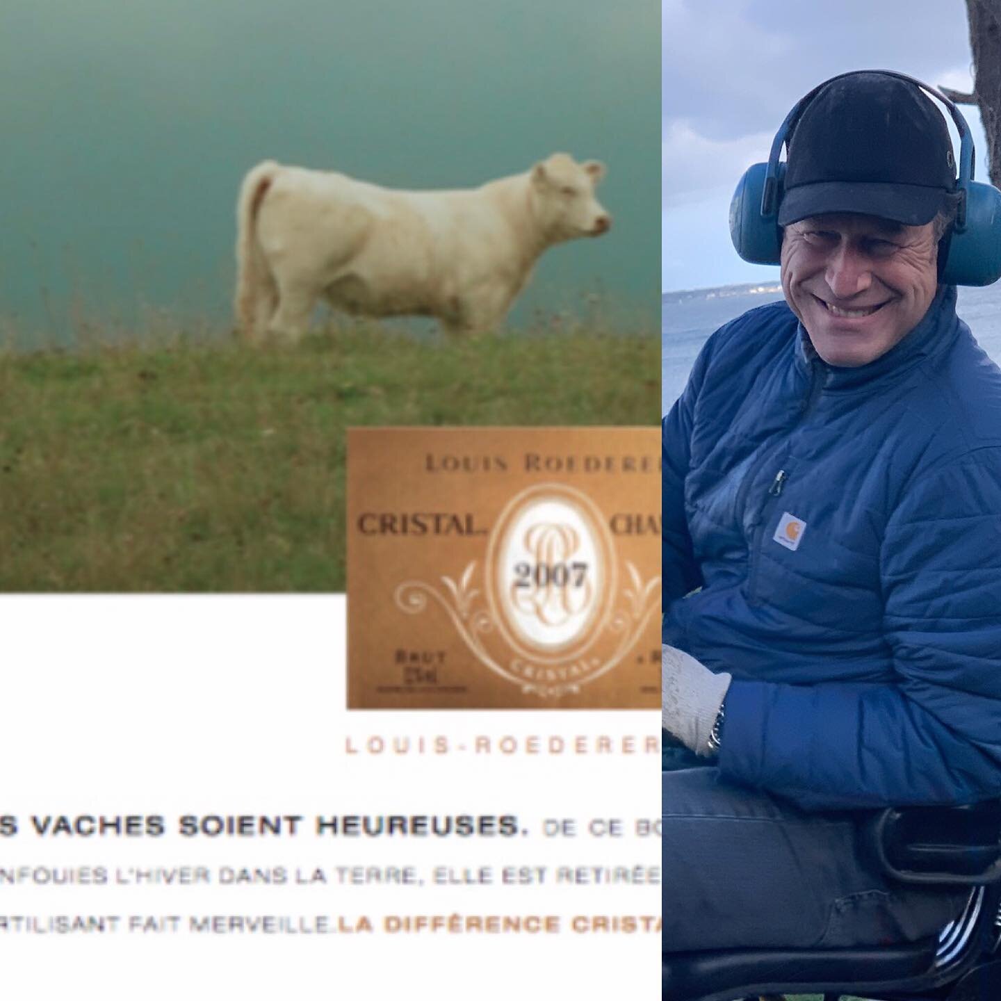 Il faut un g&eacute;rant heureux... pour faire du bon Glamping ! Comme il faut que les vaches soient heureuses pour produire du Cristal ! It means : boss has to enjoy it. #glamping #roederer #agencesaltimbanque #brittany #mowing #happycamper