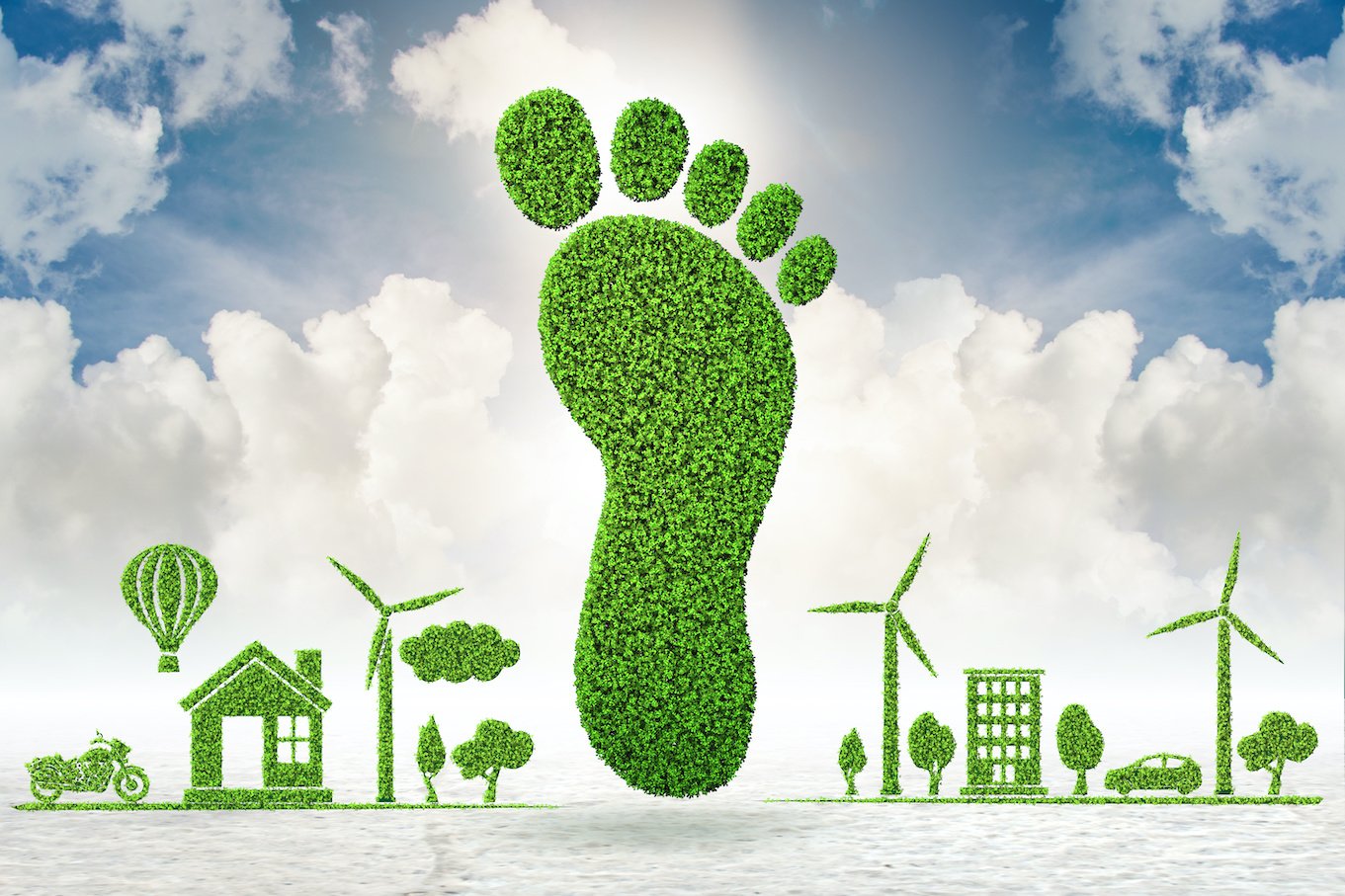 Bouwen met een minimale ecologische voetafdruk — Mobble
