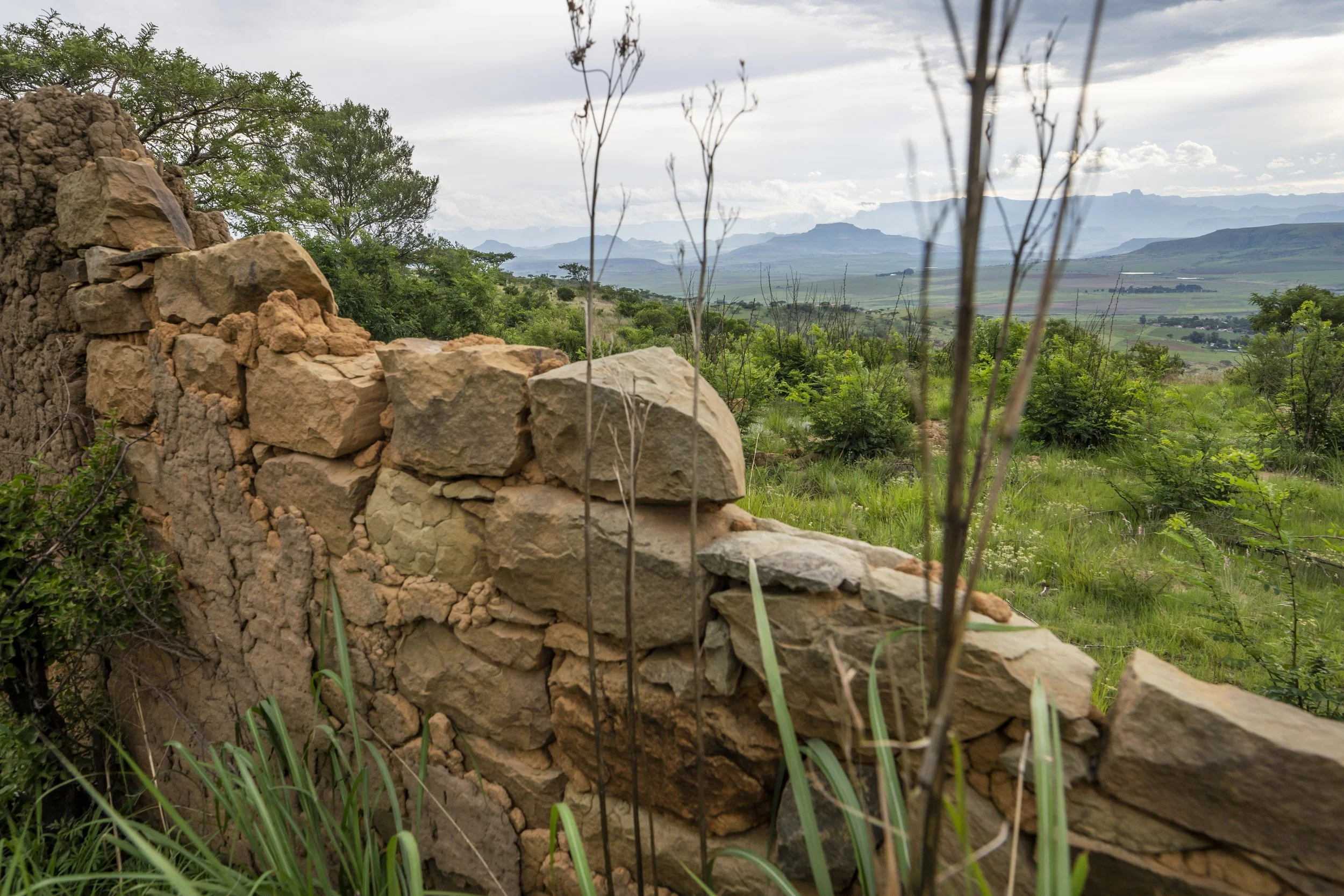 THE STORY OF SASI BUSH LODGE