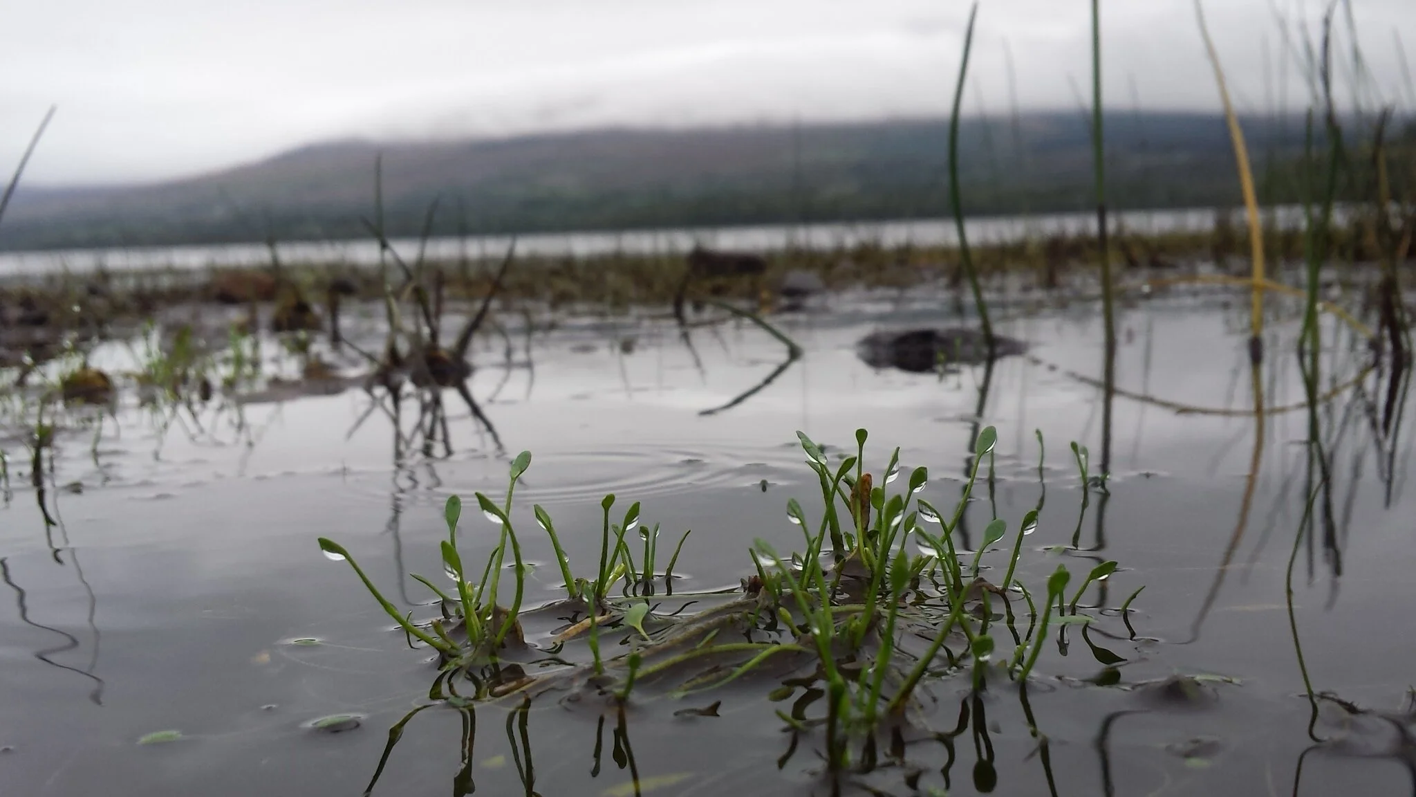 mudworth in lough allen