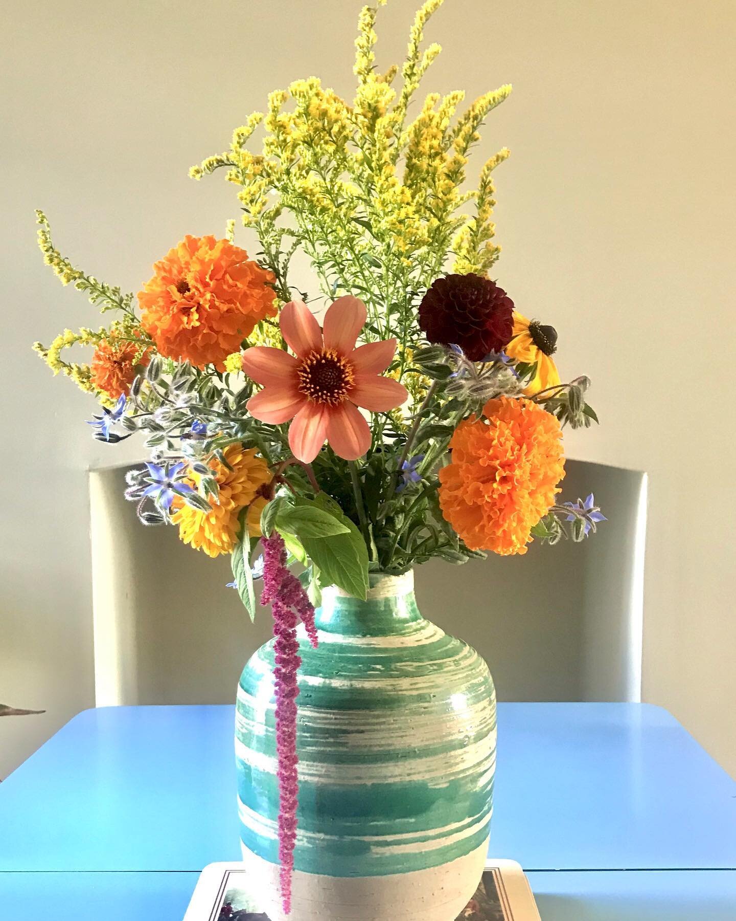 🧡 #homegrown 

_____________________________________________

#plants #wildflowers #gardenflowers #mygarden #flowers #naturephotography #beautifulflowers #meadows #garden #latesummerdays #september #gardenlife #botanicalart #helloautumn #gardening #