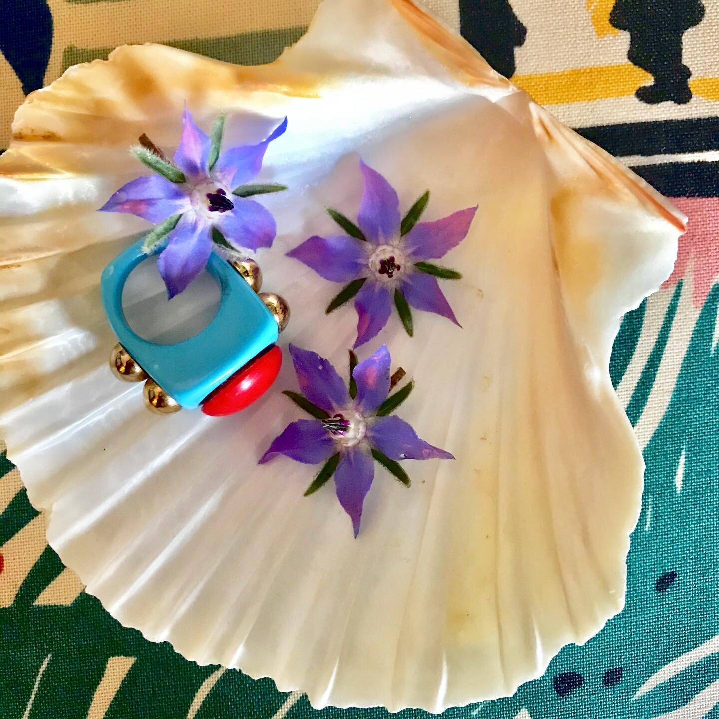 Treasures 💜

___________________________________________

#jewelry #jewellery #meadowflowers #garden #gardenflowers #lamanso #ring #plastic #colliercampbell #colliercampbellarchive #colliercampbellfabric #fabric #softfurnishings #shell #seashells #s