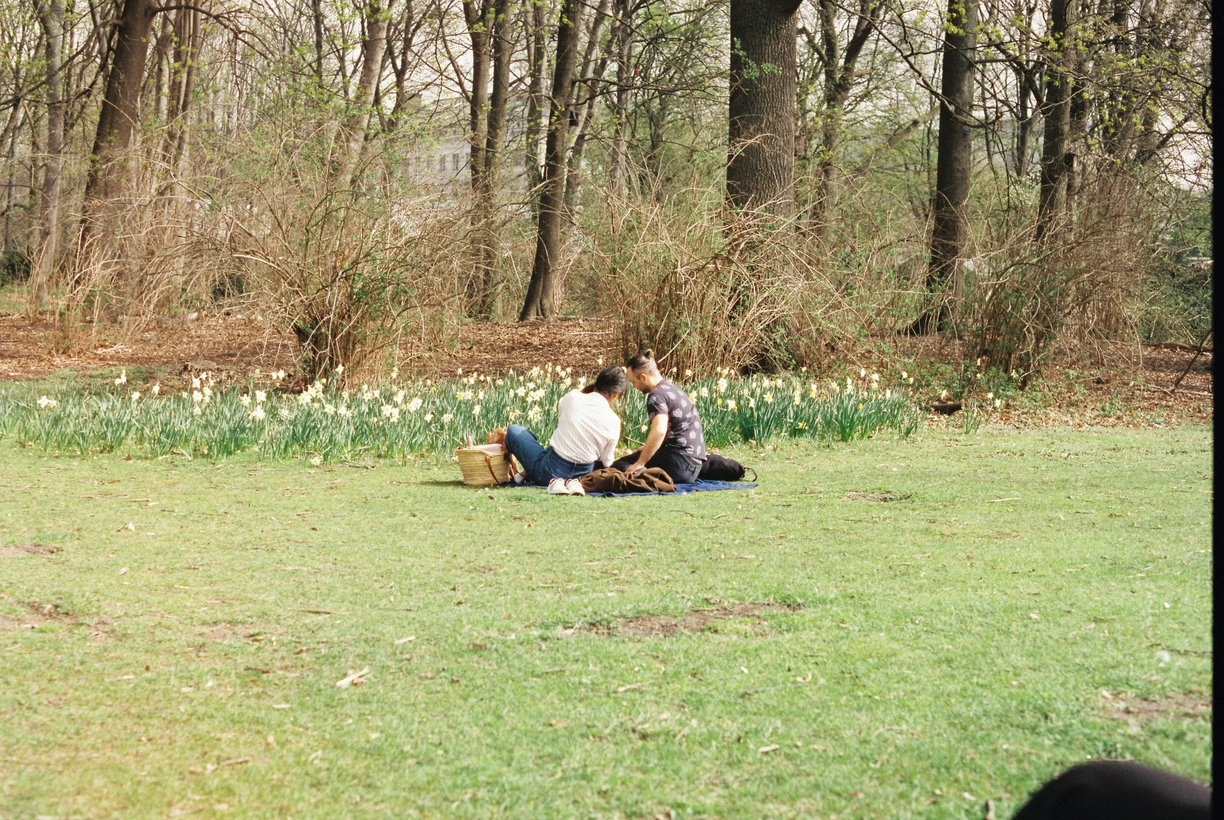 Two friends enjoying a picnic outdoors on a spring day
