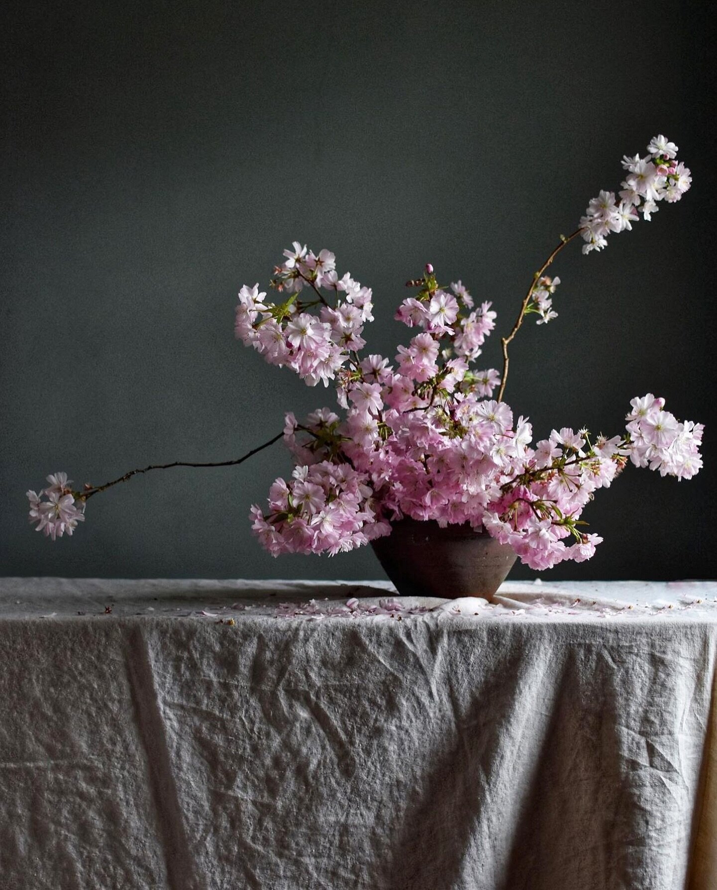 So fleeting&hellip;...
.
.
.
.
.
#pink 
#britishflowers
#springflowers
#stylingthese
#flora
#pink
#cherryblossom
#blossom
#inspiredbypetals
#botanicalpickmeup
#ayearinflowers