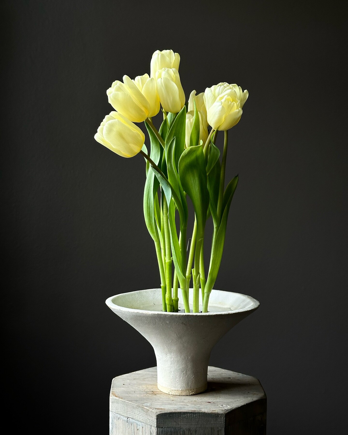 Tulips&hellip;..
.
.
.
.
.

#tulips
#springflowers
#yellow