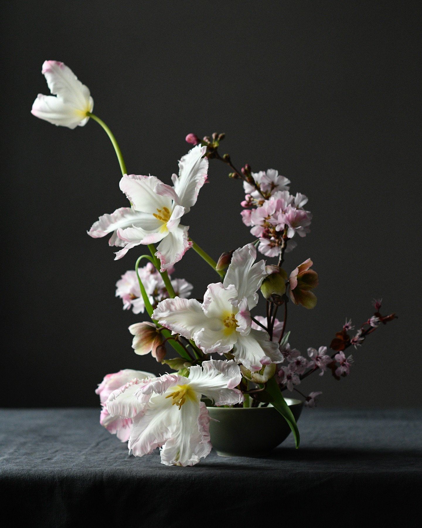 More pink stuff&hellip;..
.
.
.
.
.
#tulips #springflowers #pinkinmyfeed  #sustainablefloristry #britishflowers