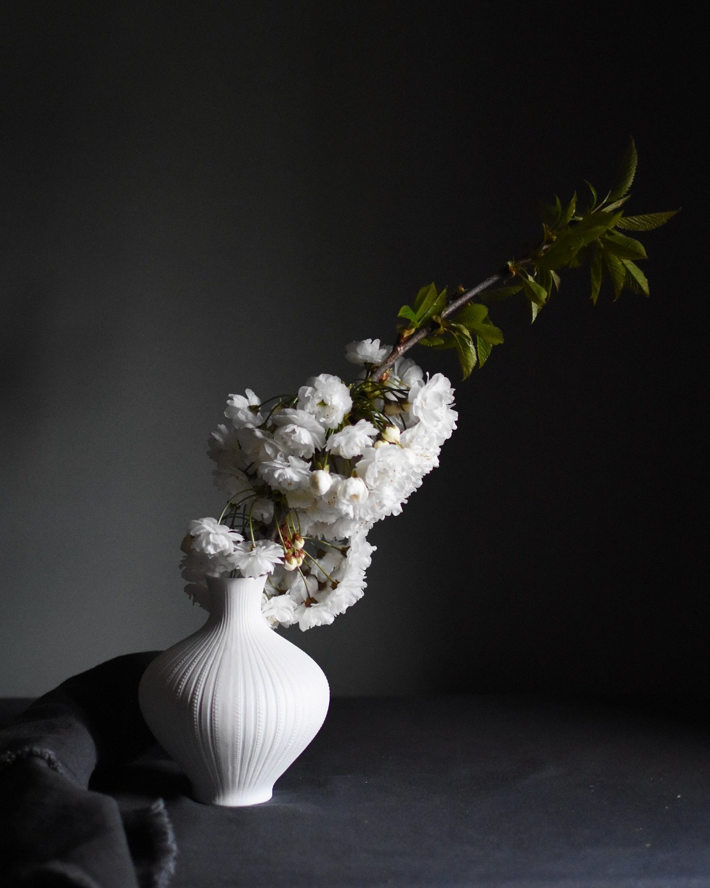 White&hellip;.
.
.
.
.
.
.

#blossom #white #ceramics #interiors #simplicity #britishflowers