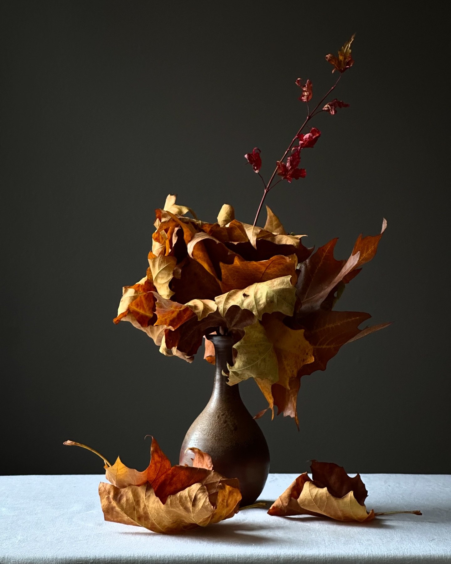 Leaf love 🍂🍂🍂🍂🍂. They make such beautiful shapes&hellip;. Bring them inside and put them in vases.
.
.
.
.
.
.
#leaves #autumn #bringingtheoutsidein #gatherandcurate #leaflove