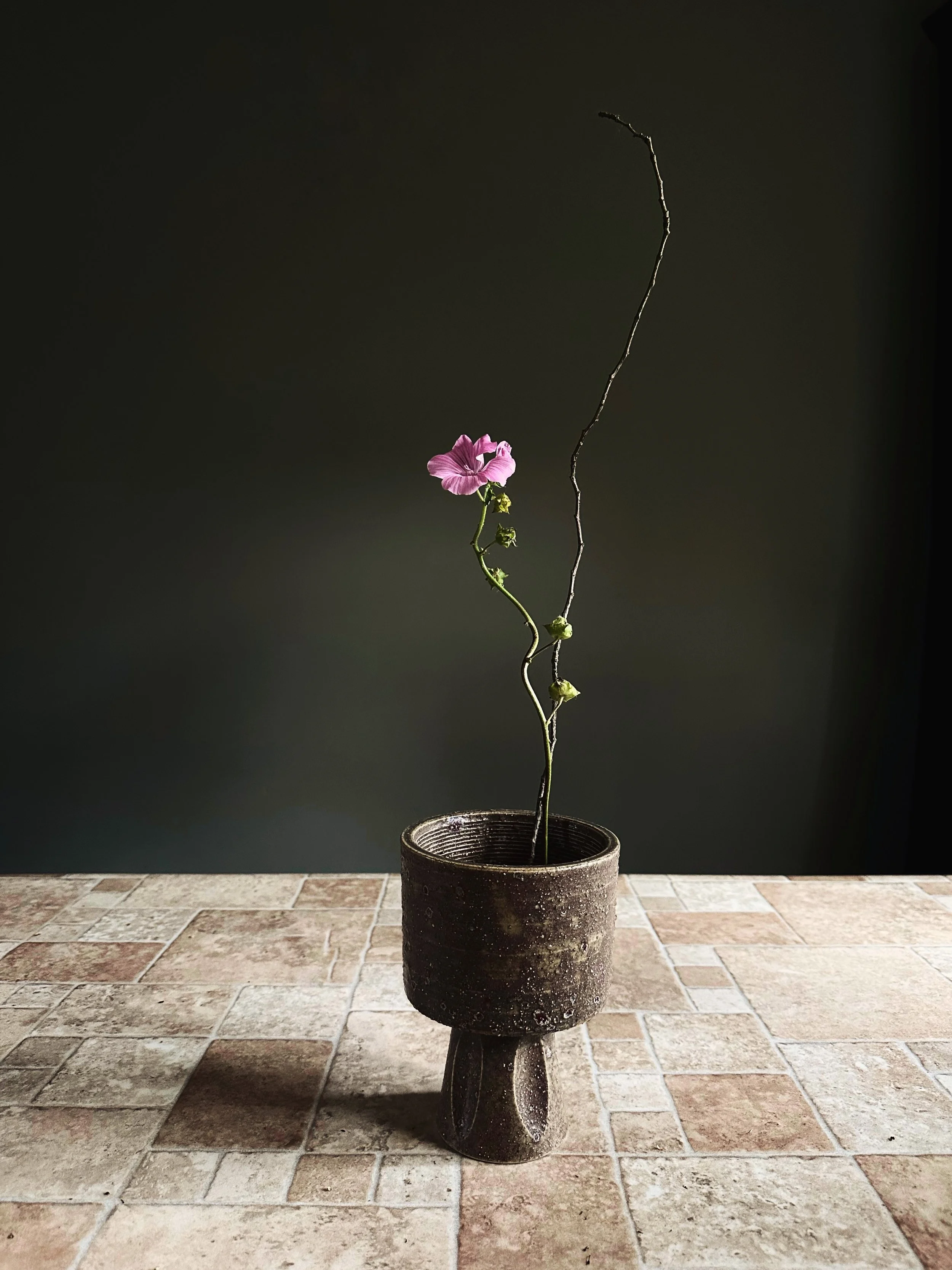 The absolute clarity that comes with simplicity&hellip;. Sometimes I have to remind myself to remove the noise and clutter and focus on the things that really matter.