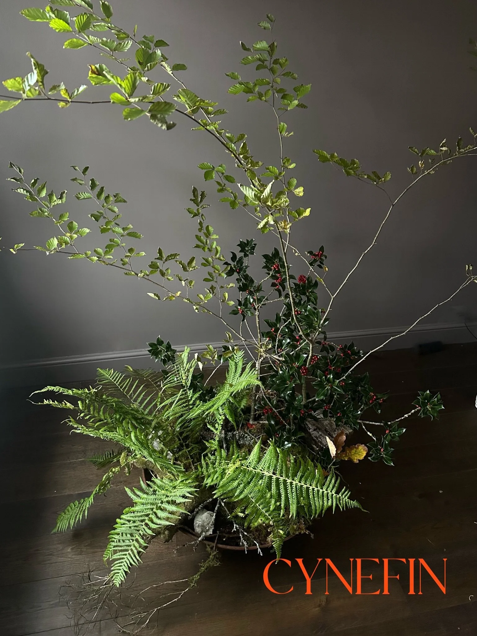 CYNEFIN : A Welsh word having no direct English translation, describing a sense of place and a deep feeling of belonging. 
.
.
A collaborative installation made of plants from the Welsh Rainforest (later returned to the soil!) from @afanrainforestcic