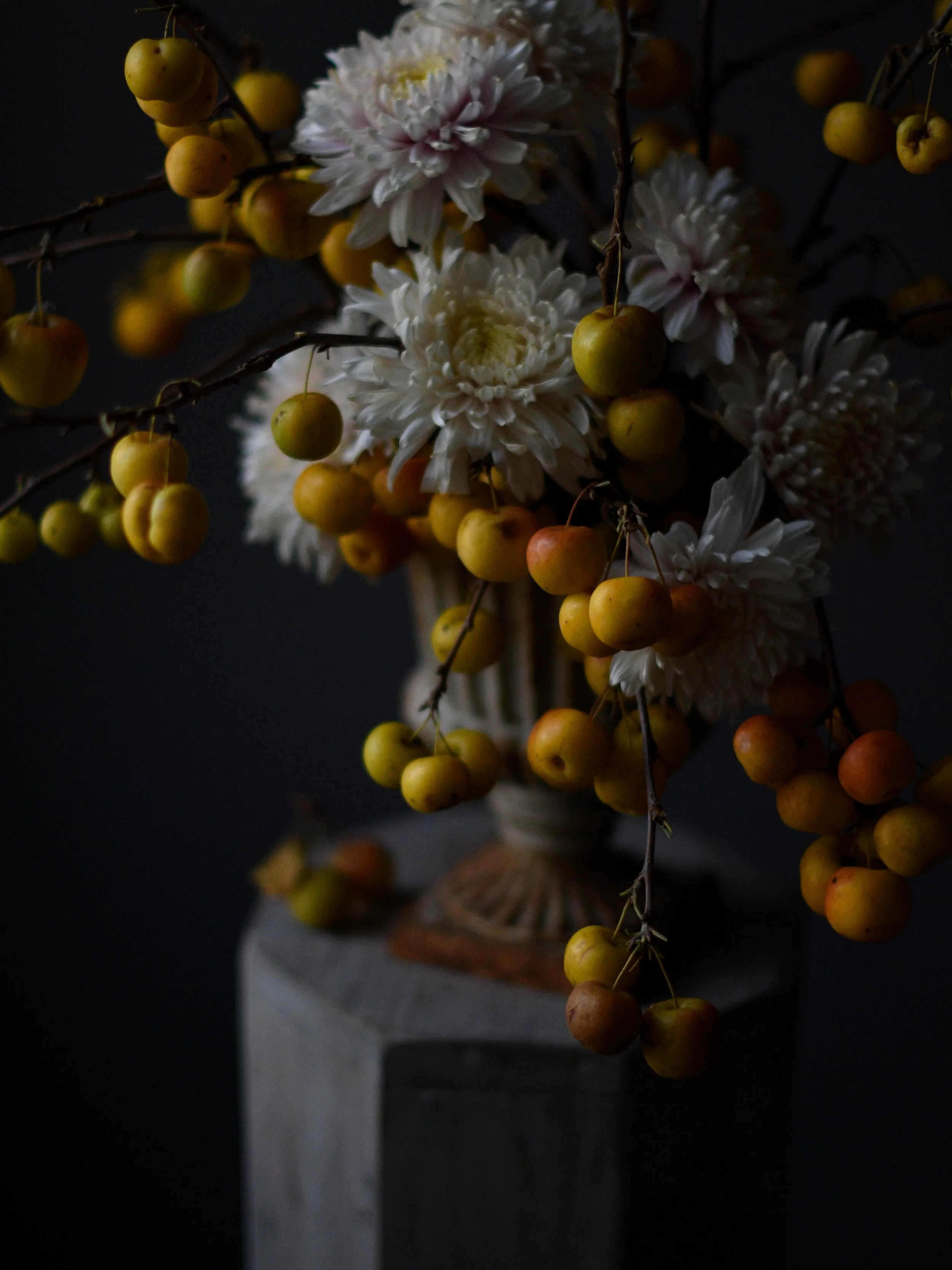 Crab apples and chrysanthemums