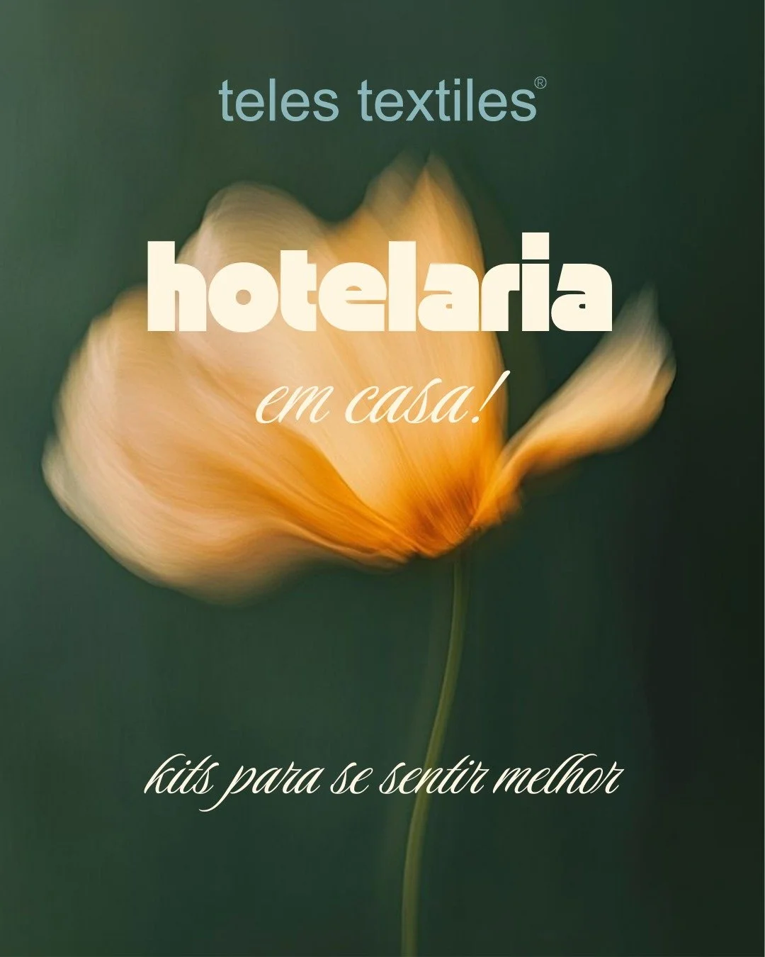 Transforme a sua casa numa verdadeira experi&ecirc;ncia de hotel✨

J&aacute; imaginou ter todo o conforto, eleg&acirc;ncia e sensa&ccedil;&atilde;o de descanso de um hotel&hellip; sem sair de casa?
Com os nossos kits hotelaria, isso &eacute; poss&iac