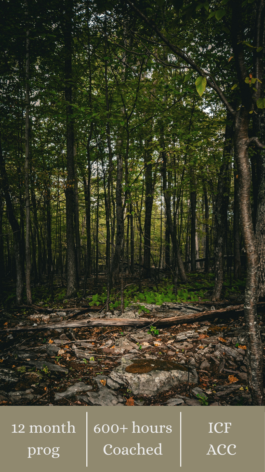 Story Coach Career Coaching