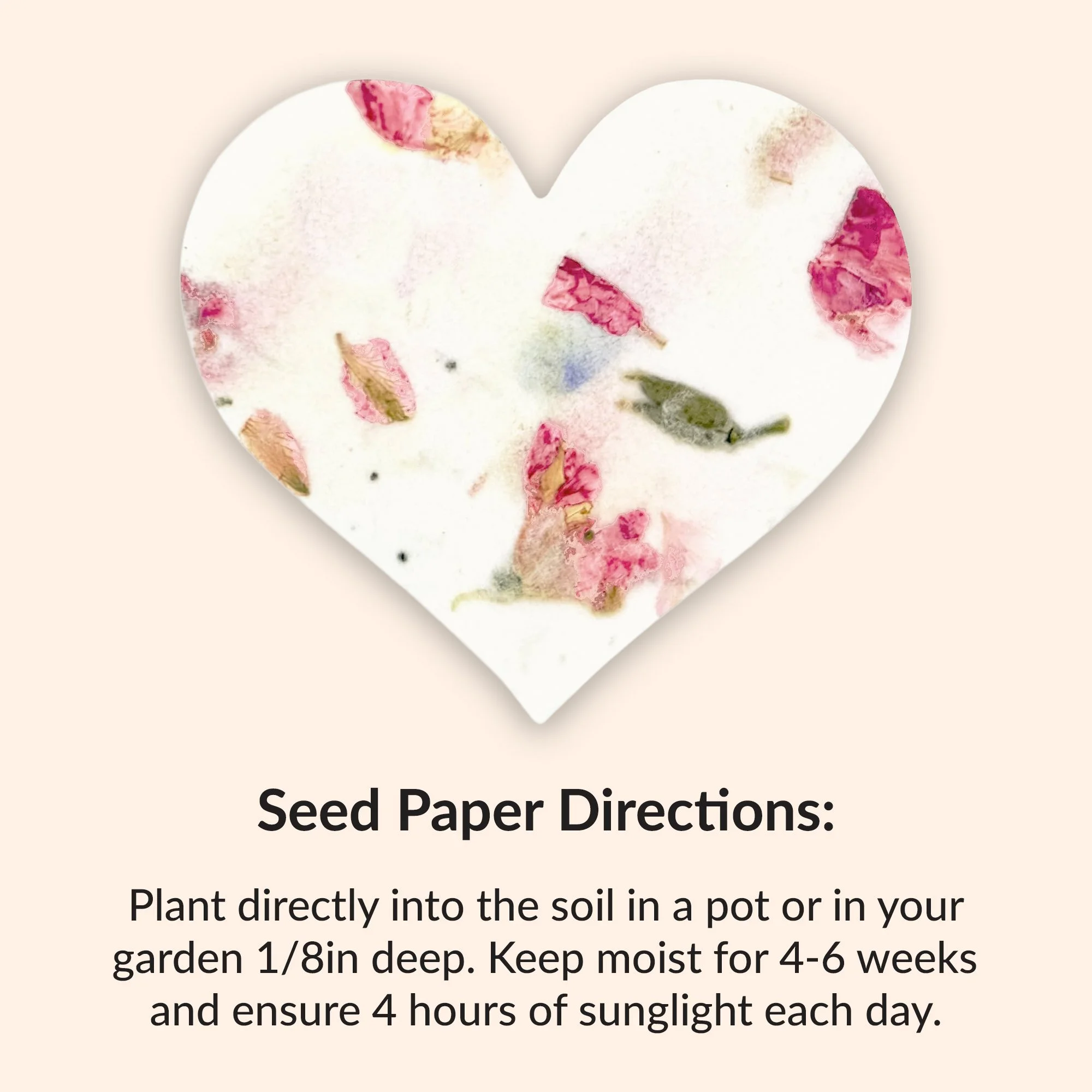 seedpaperdirections.jpg