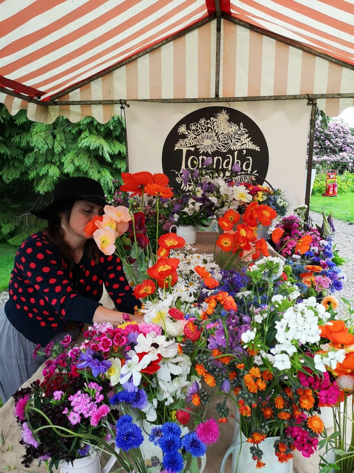 Tomnah'a 
Wildhood festival