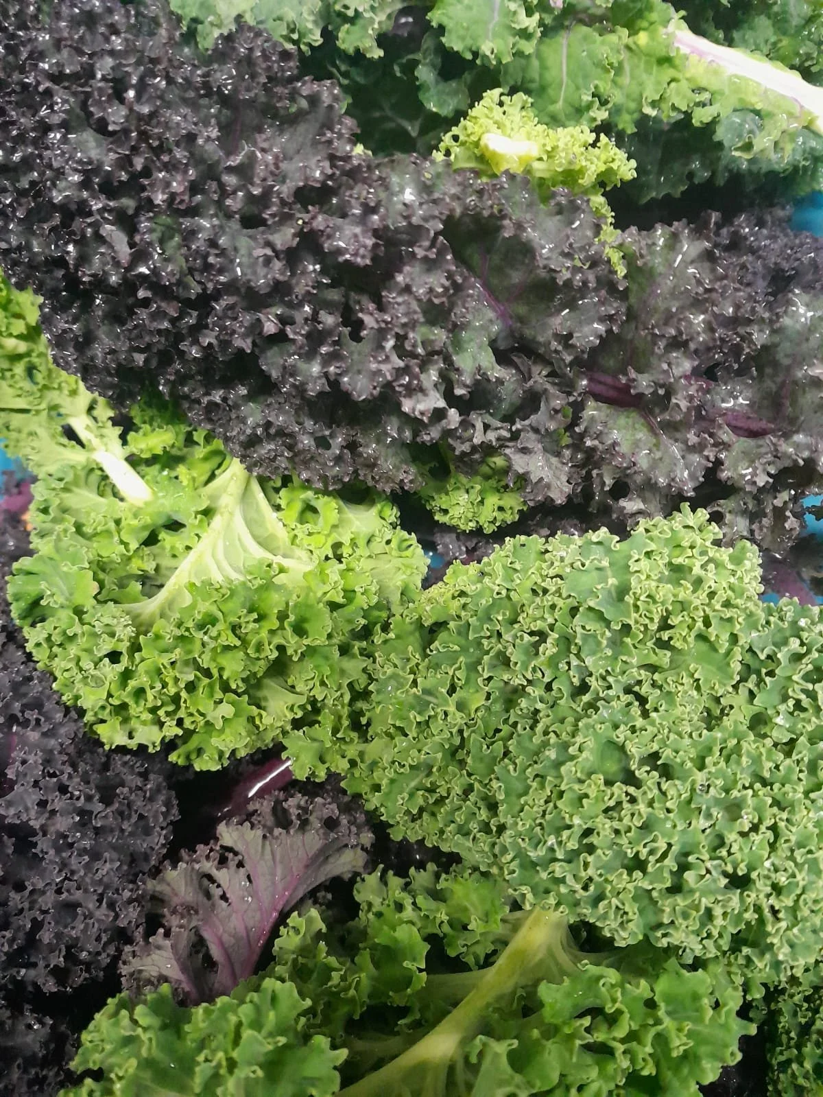 WhatsApp Image 2025-11-15 at 10.01.12 (1).jpeg