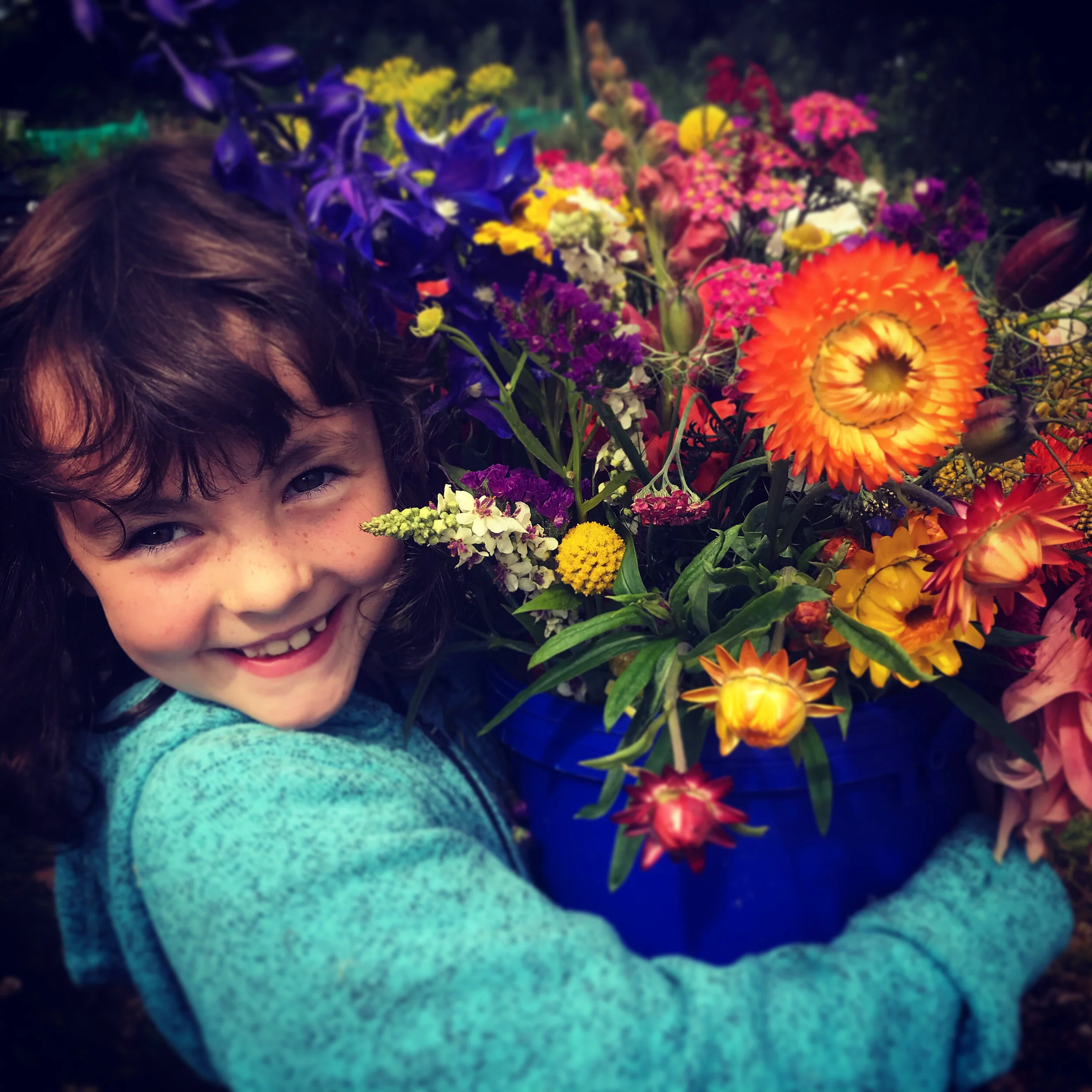 Tomnah'a
PYO Lilly with bucket