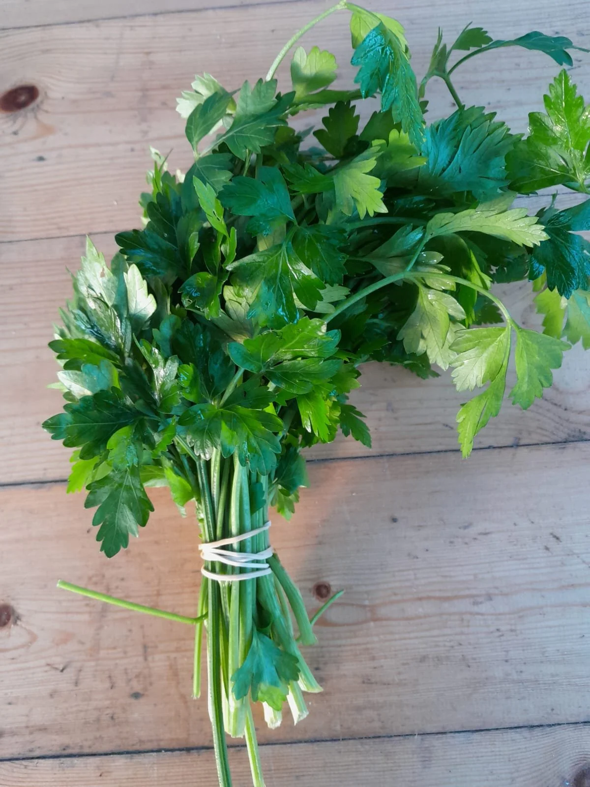 WhatsApp Image 2025-11-15 at 10.01.23 (1).jpeg