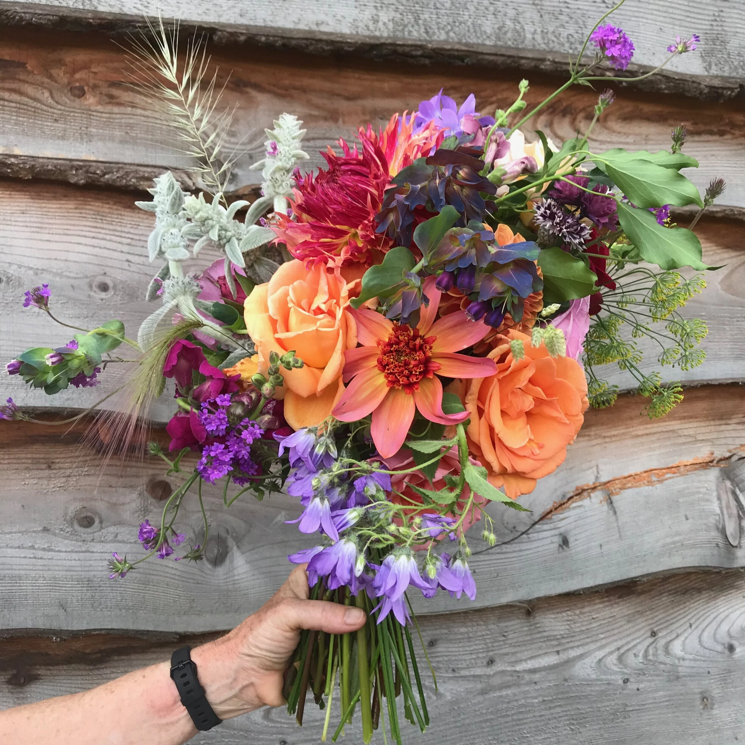 Tomnah'a 
Blue and orange bouquet (main)