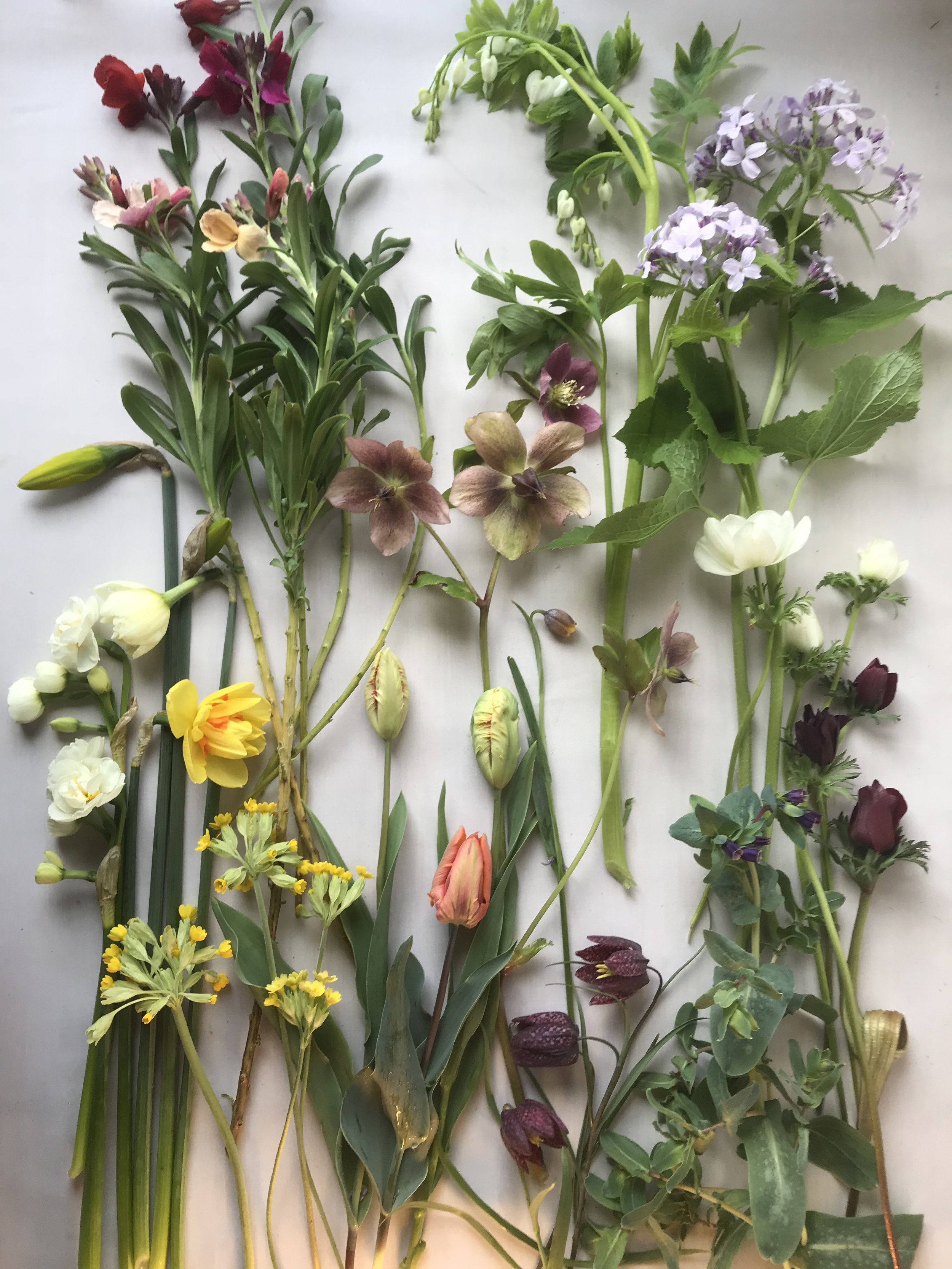 spring flat lay2 lighter.jpeg