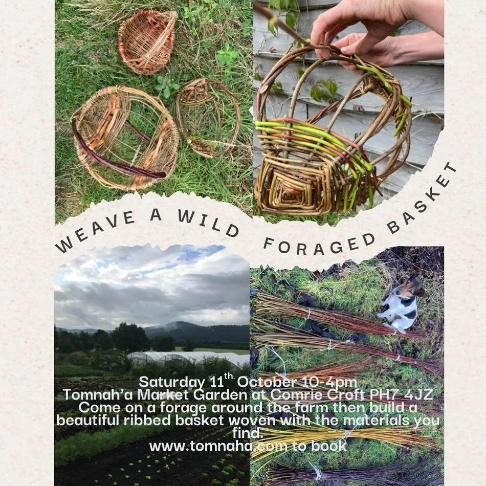 Theres a hint of autumn in the air and we&rsquo;re getting ready for our autumn workshops looking at what we can create from the plants around us and learning new skills-
4th Oct. 2-4pm Weave a willow Bird Feeder
11th Oct. 10-4pm Weave a wild foraged