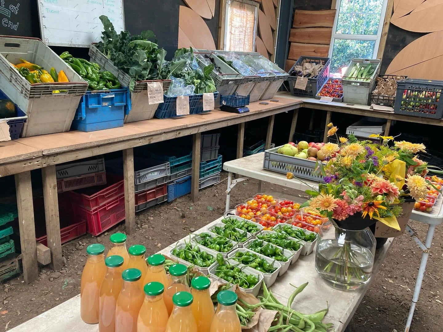 Beautiful bountiful veg box day today!