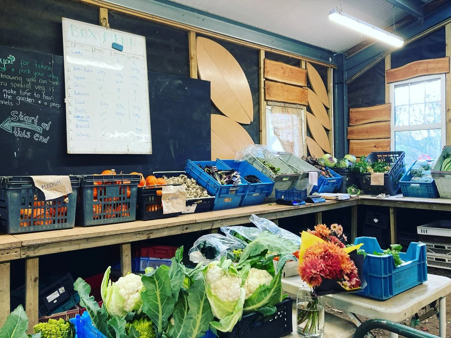 The last veg box of the year! Thank you to our members for supporting our business and coming along each week rain or shine!
It&rsquo;s been a beautiful and abundant year which I&rsquo;m sure you noticed in the size of some of those aubergines!/ leek