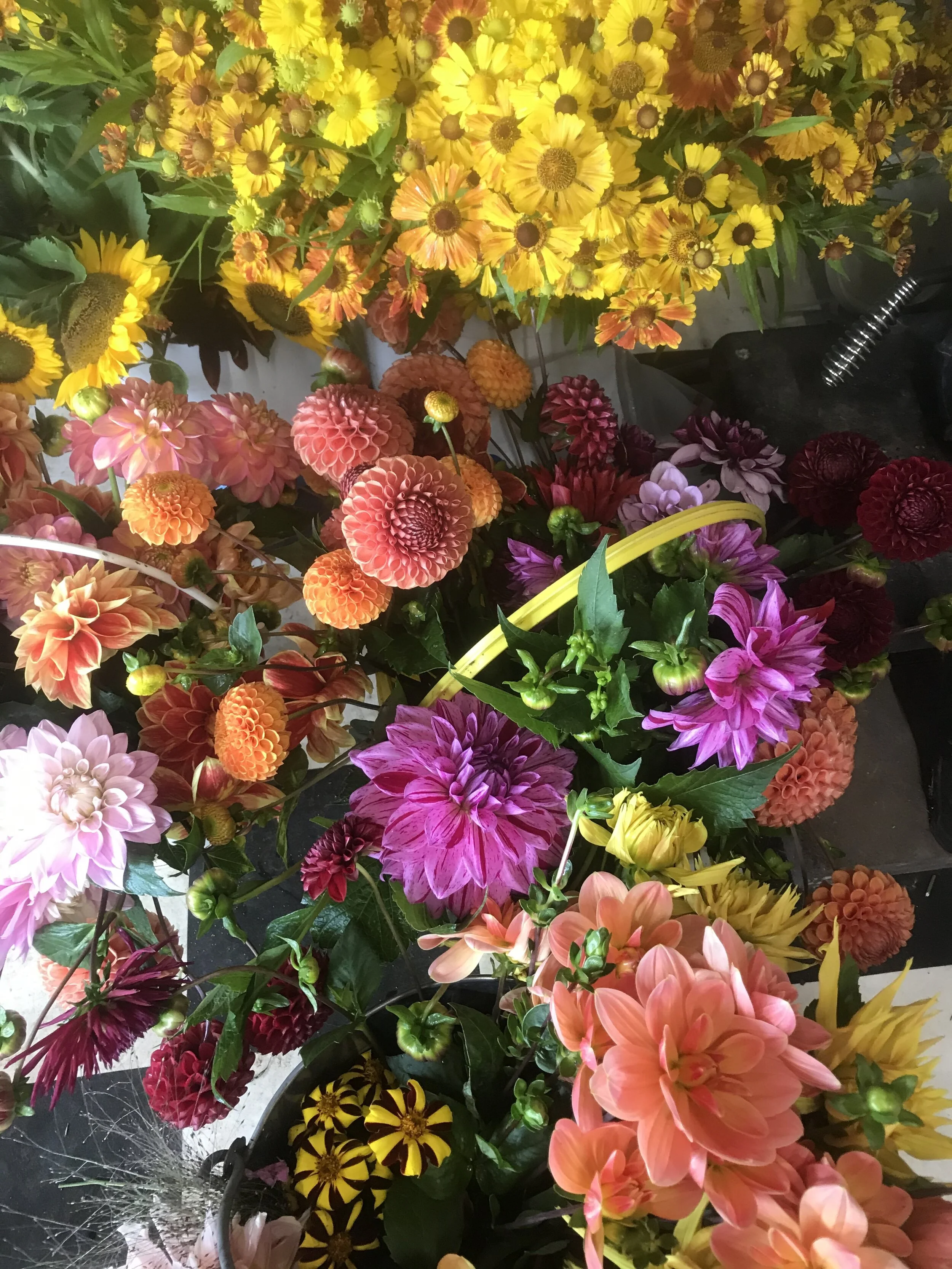 Tomnah'a
Autumnal mixed flower buckets 