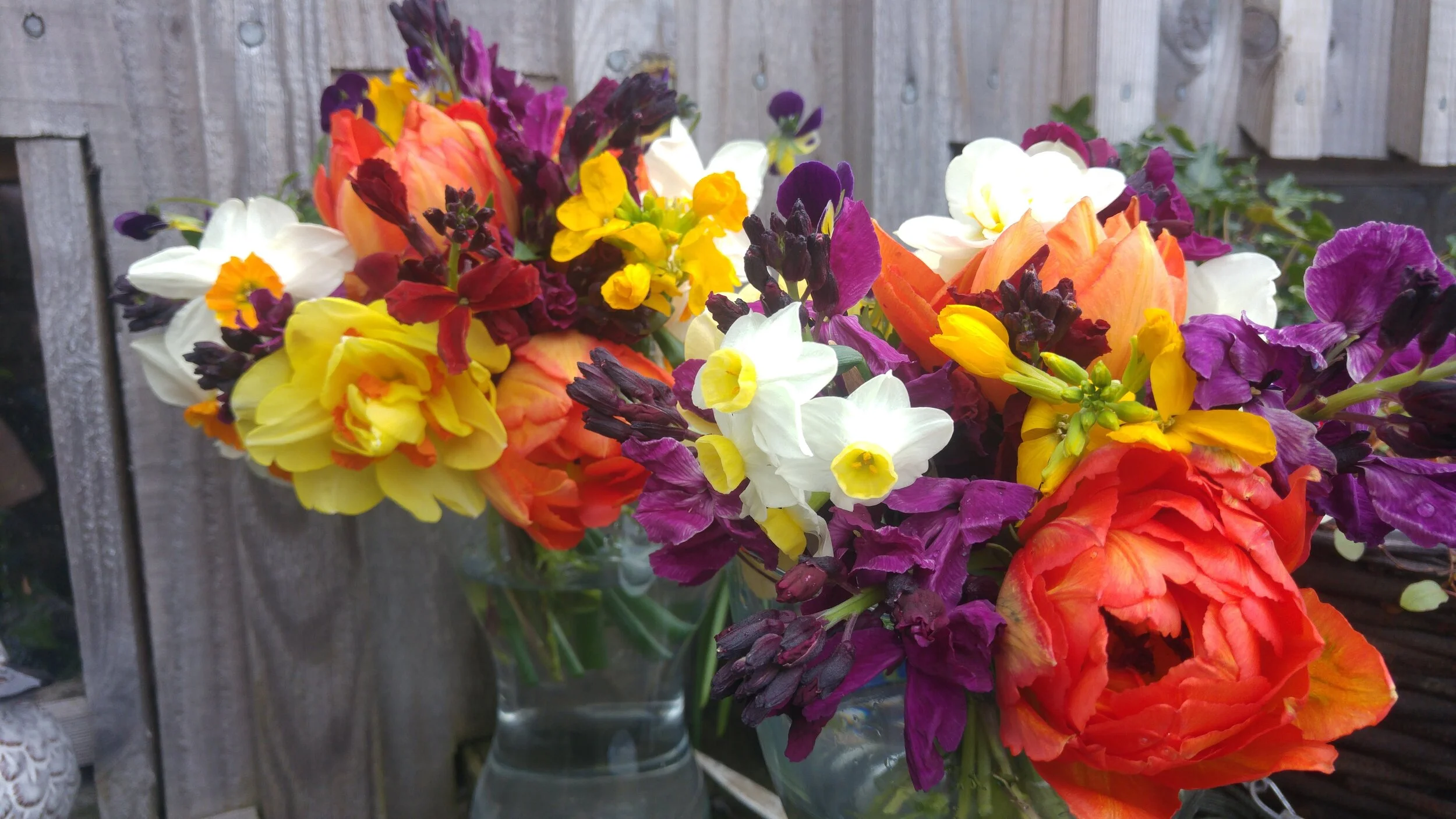 Tomnah'a
Orange and violet spring posies