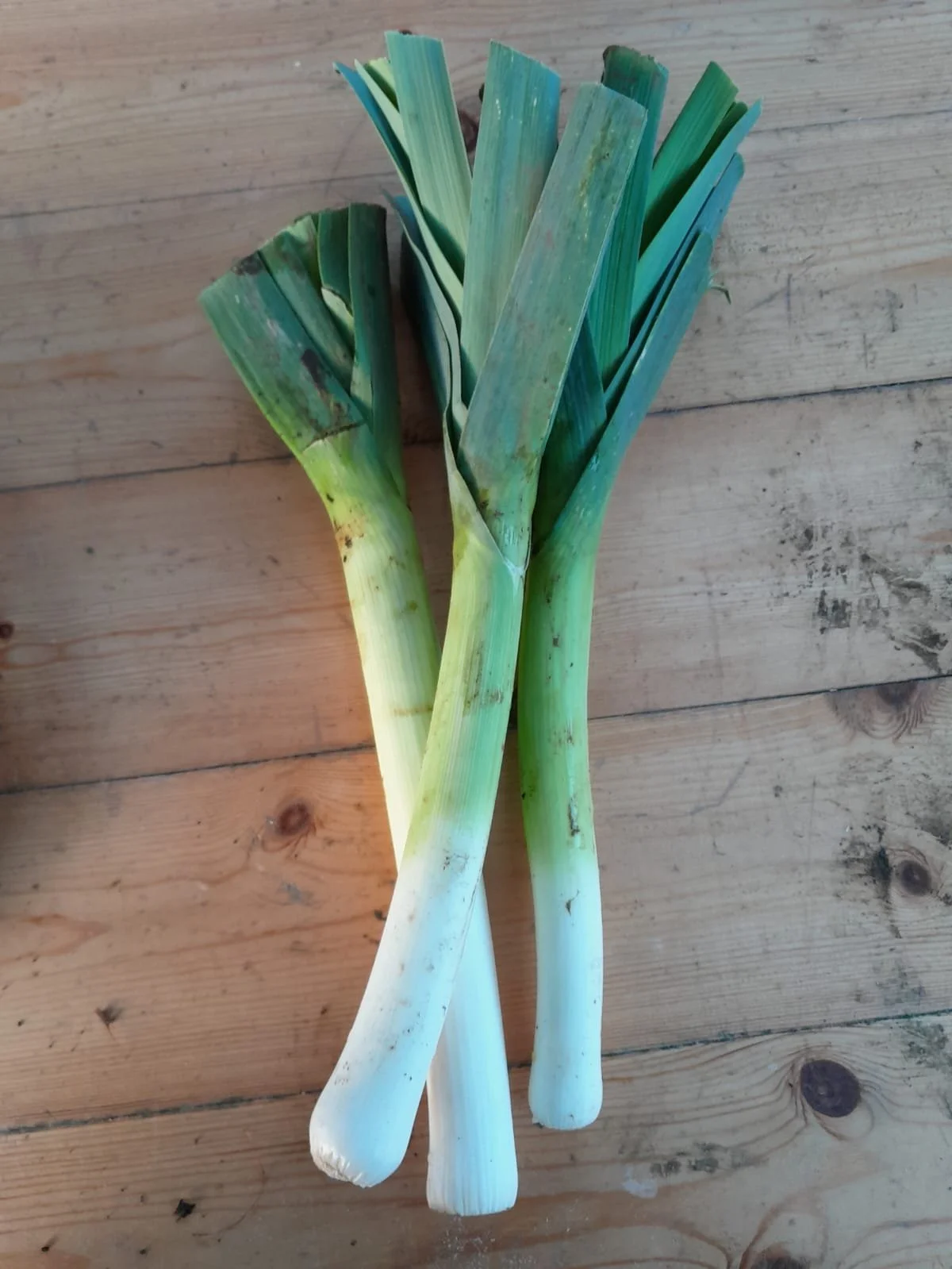 WhatsApp Image 2025-11-15 at 10.01.23 (2).jpeg