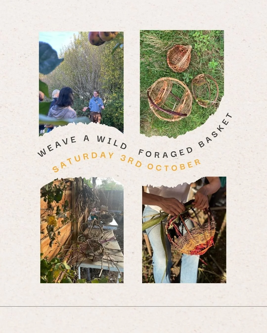 Foraged basket workshop (1).jpg